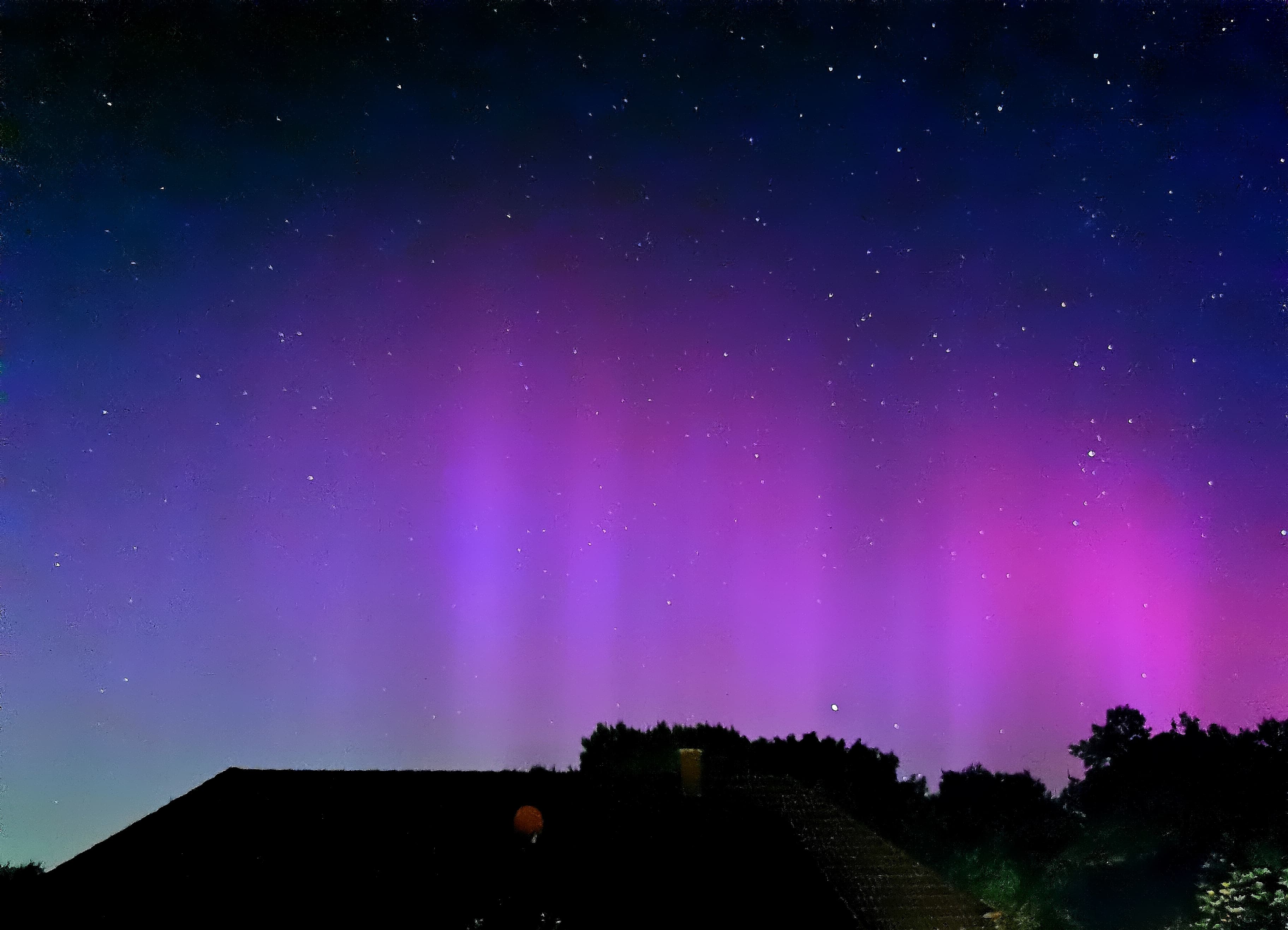 Am Nachthimmel leuchten violette und rosafarbene Polarlichter über dunklen Dächern und Baumkronen, während zahlreiche Sterne in der klaren Himmelskuppe funkeln.