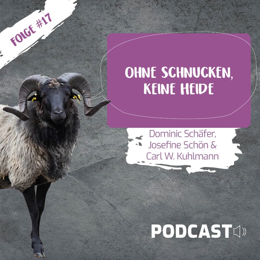 eine graue schiefertafel mit einer heidschnucke darauf