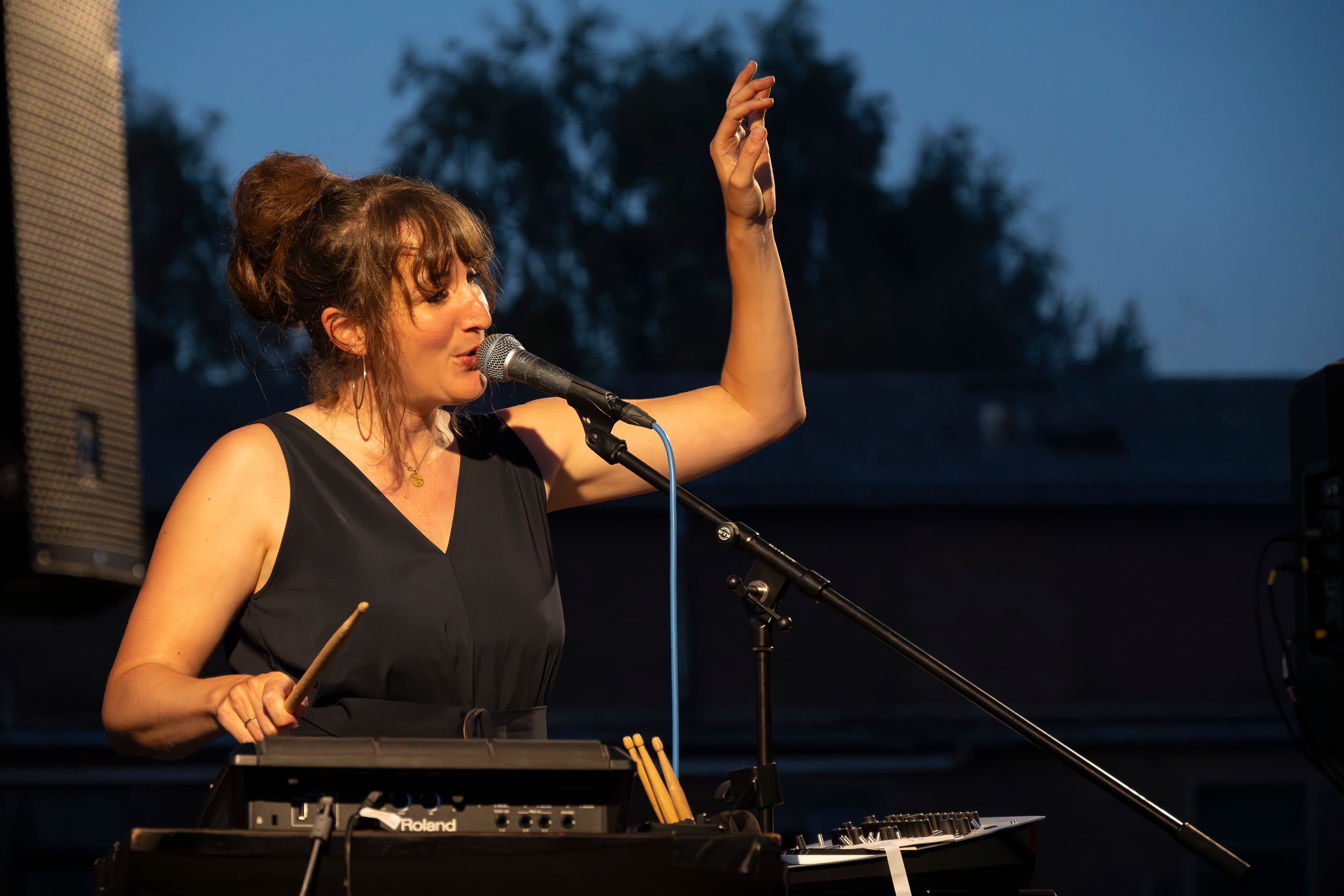 Hof an den Teichen, Konzert Coco Aikura