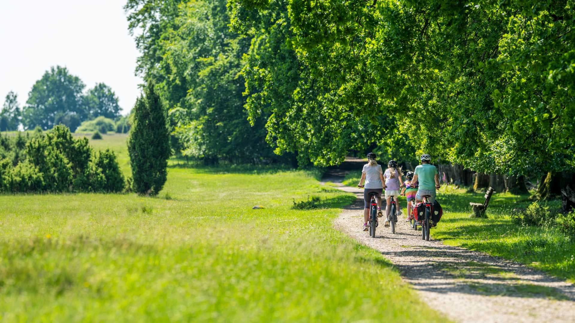 Familie auf einer Fahrradtour durch die grüne Landschaft der Lüneburger Heide.
