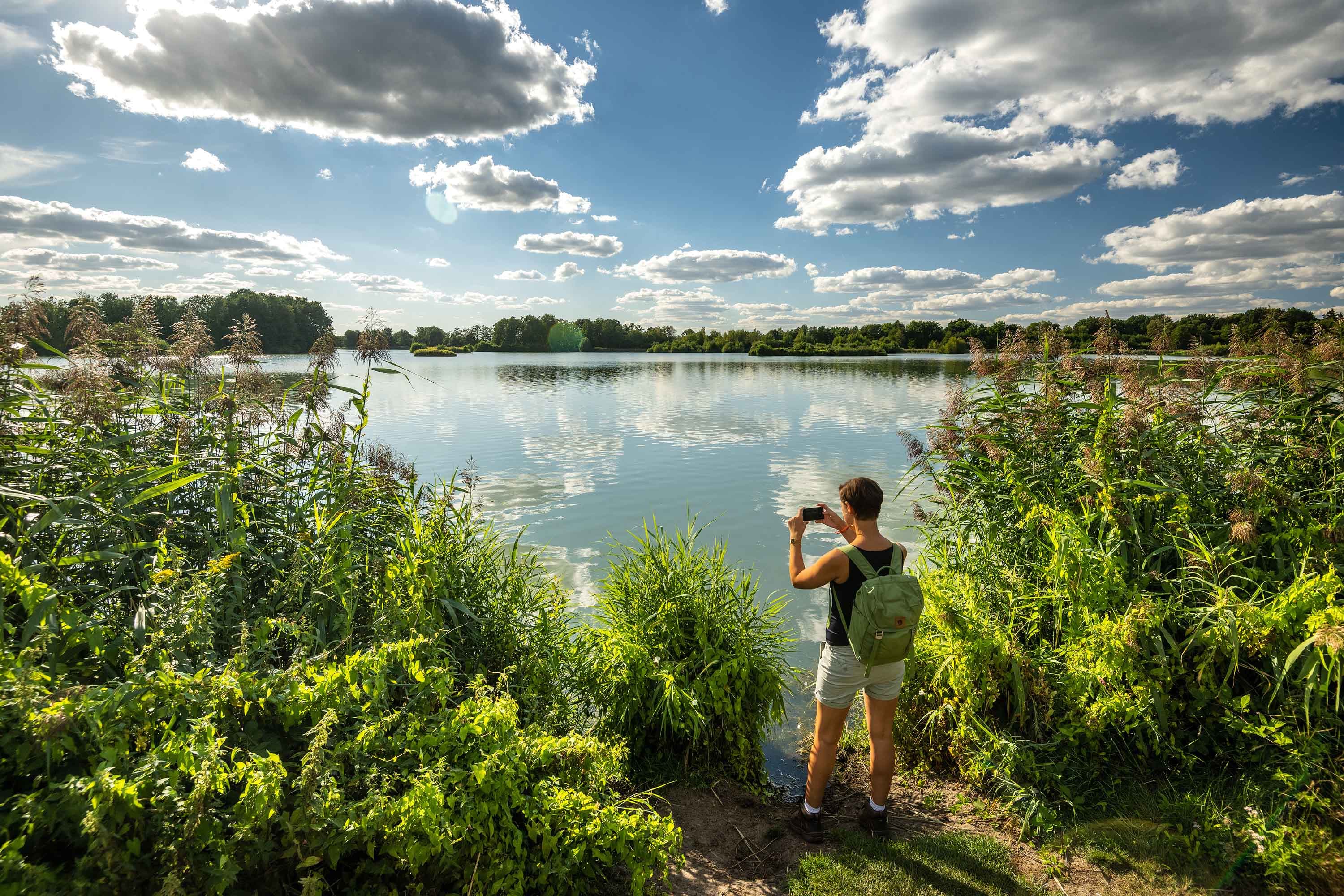 Seenlandschaft der Meissendorfer Teiche bei Winsen Aller mit Schilf und weitem Himmel.