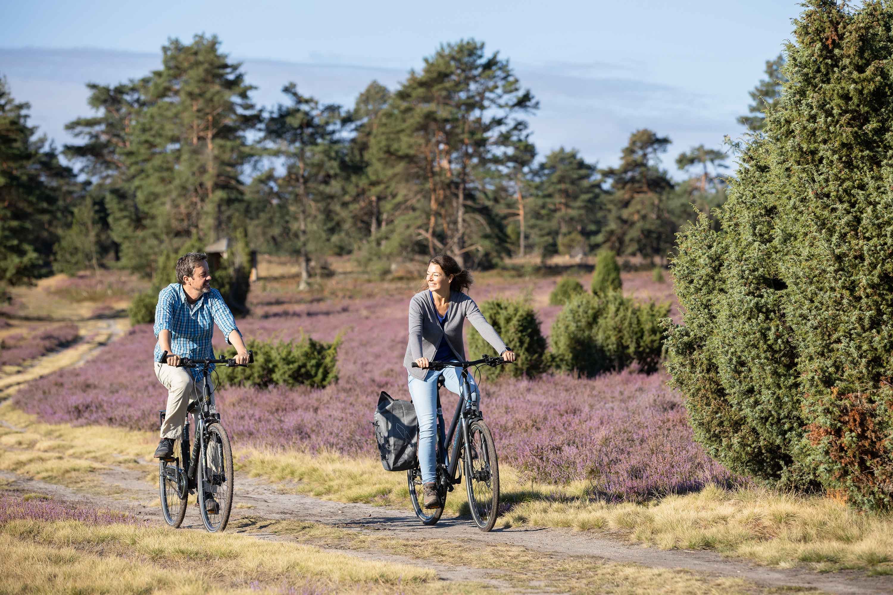 Radfahrer auf einer Radtour durch die Heidelandschaft der Suedheide in der Lueneburger Heide.