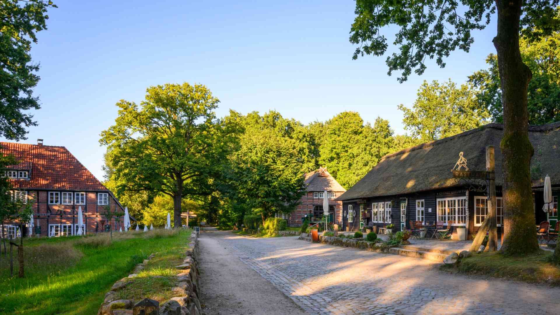 Historische Fachwerkhäuser mit Reetdächern säumen einen gepflasterten Weg im grünen Heidedorf.