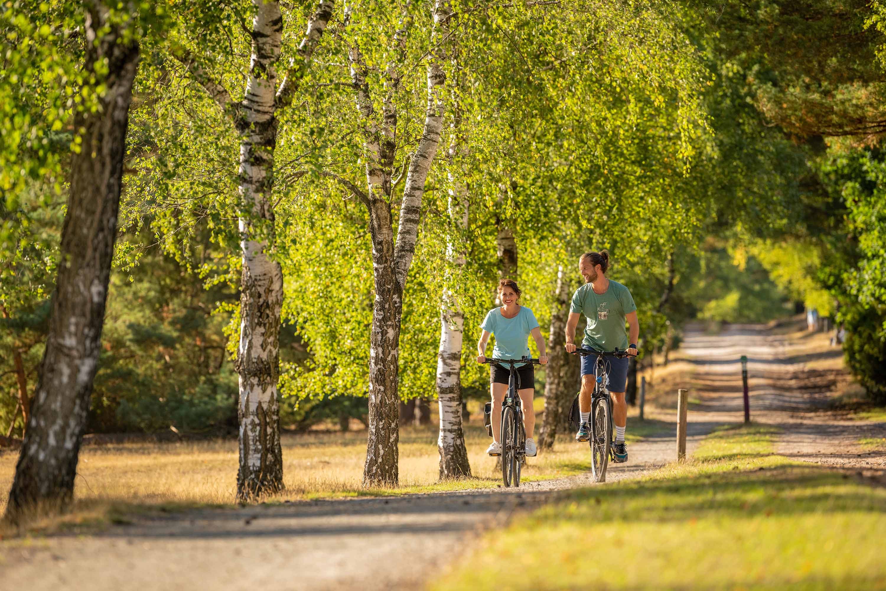 Paar faehrt mit Fahrraedern auf einem von Birken gesaeumten Radweg in der Suedheide