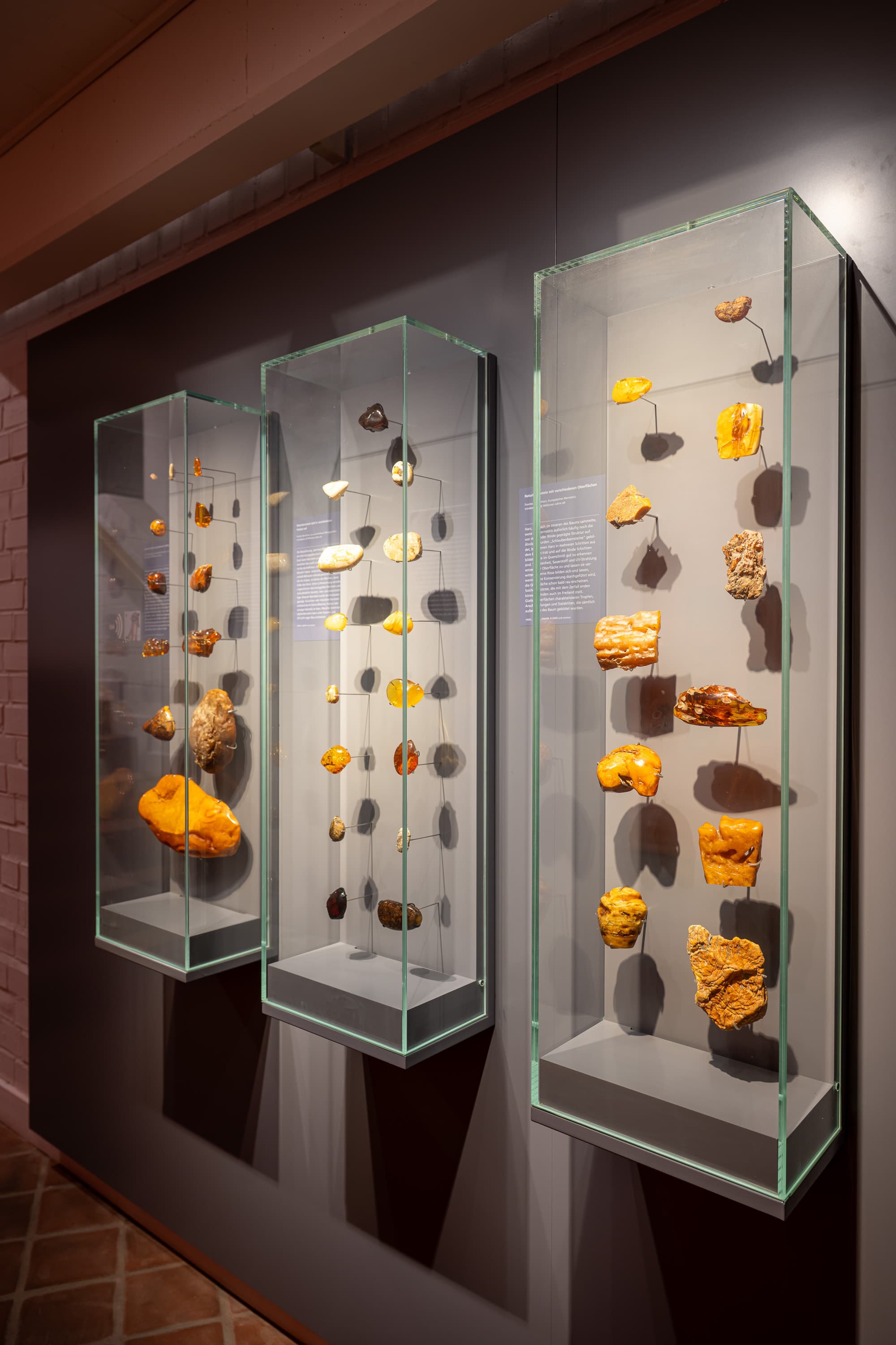 Bernstein Ausstellungsvitrinen