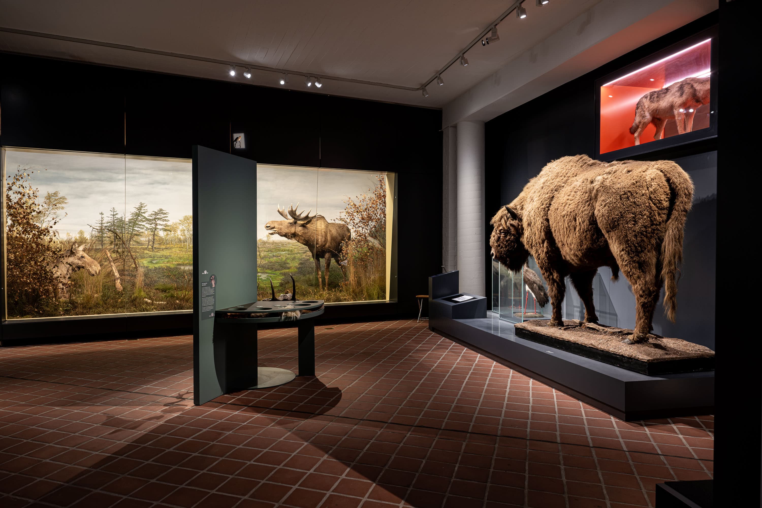 Dioramen ostpreußische Landschaften und Tieren