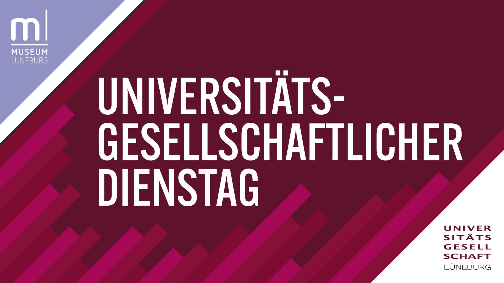 Logos des Museums Lüneburg und der Universitätsgesellschaft Lüneburg, abstraktes Muster mit pinken Balken und Titel "Universitätsgesellschaftlicher Dienstag"