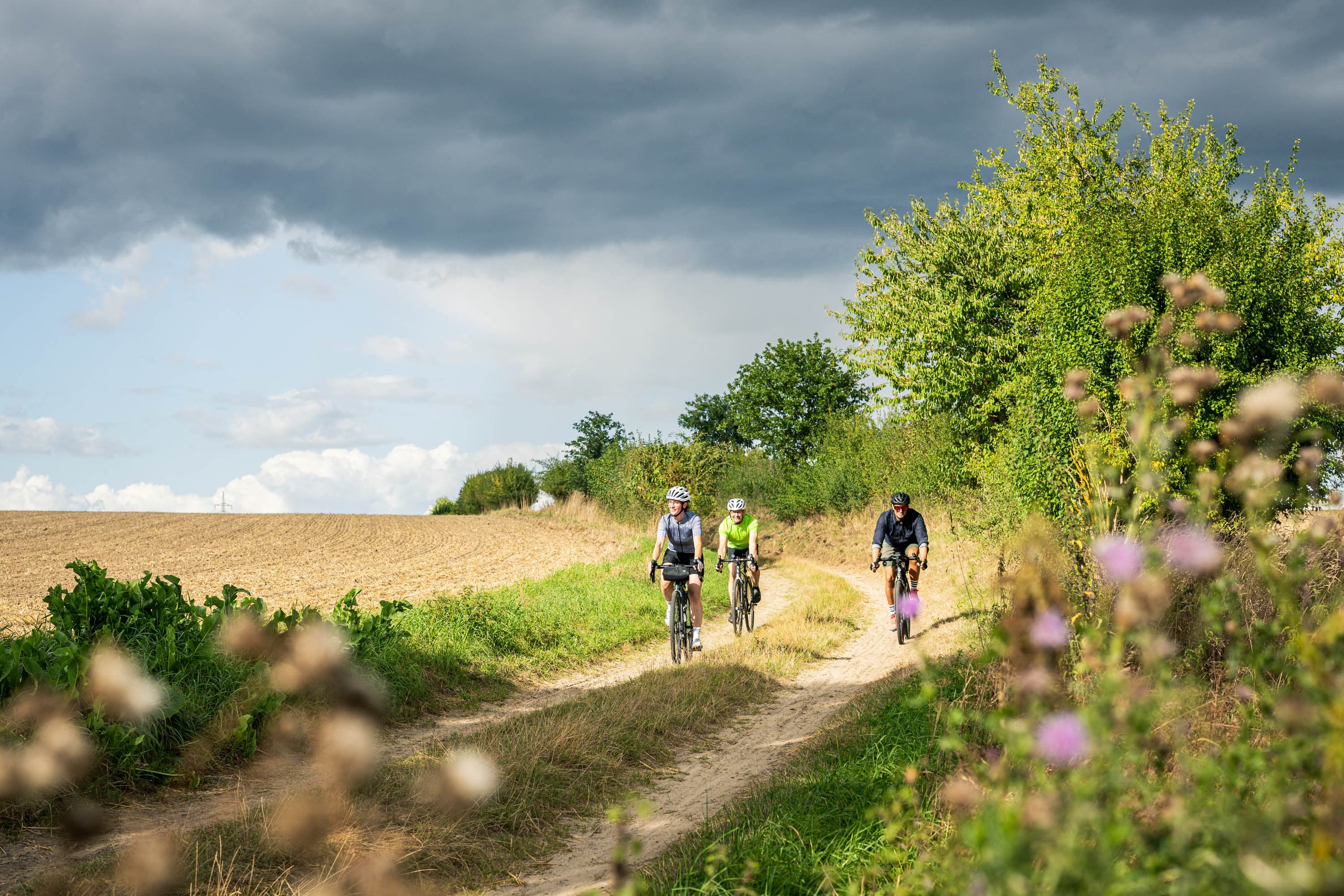 eine kleine Gruppe Gravelbiker fährt durch die Heideregion Uelzen