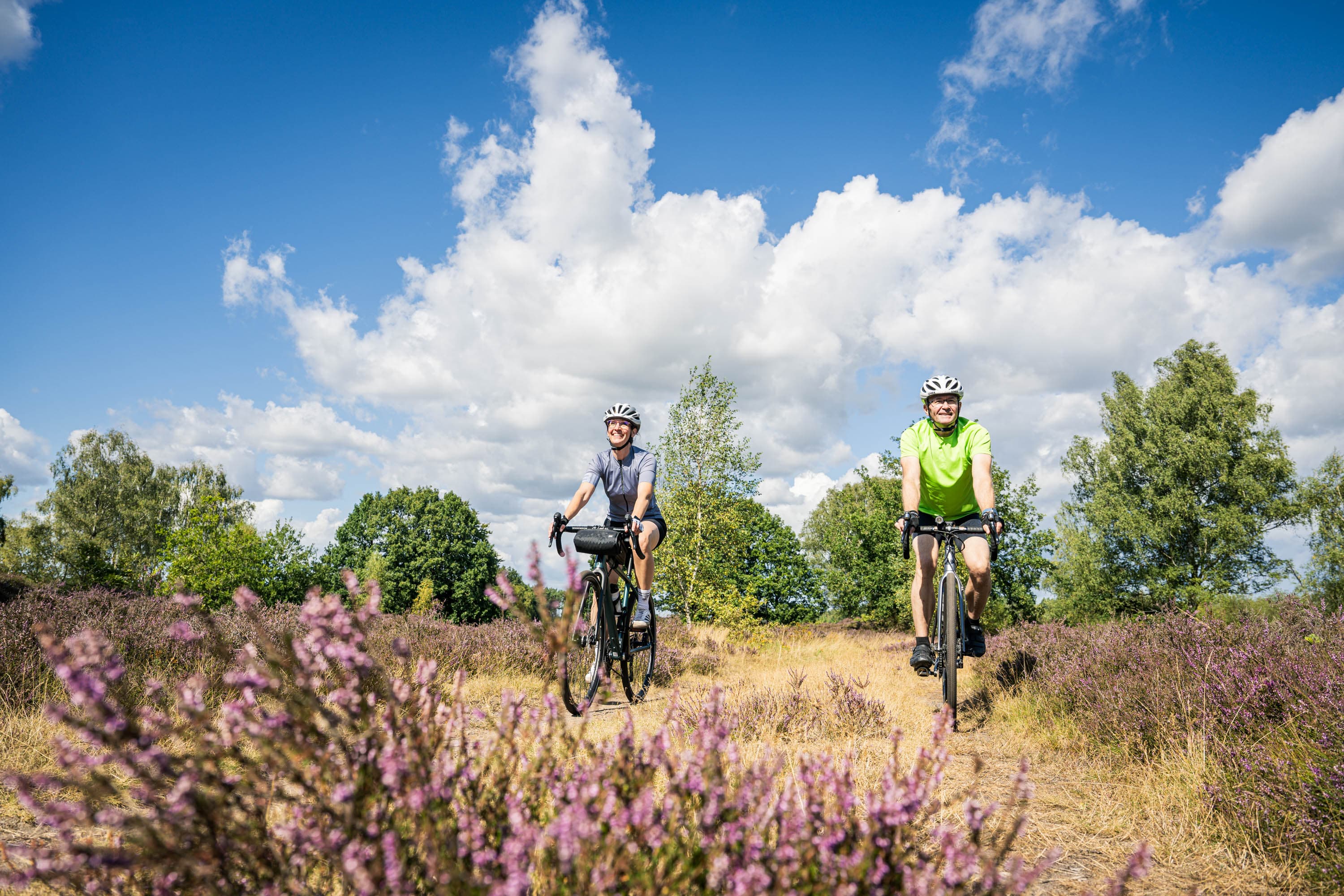 zwei Gravelbiker fahren durch die blühende Heide