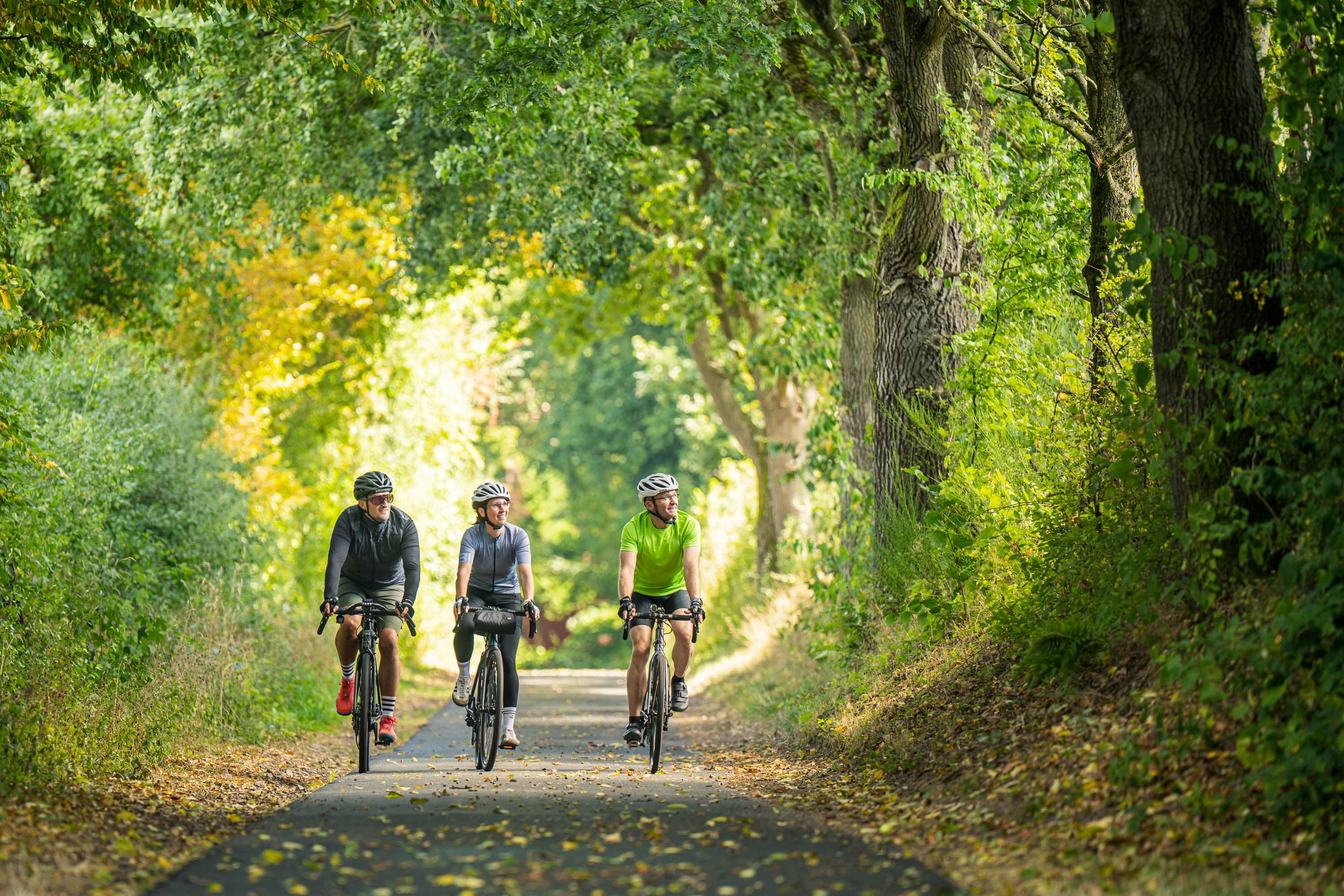 3 Gravelbiker fahren durch einen herbstlichen Holweg, der in Schatten- und Lichtbereiche getaucht ist