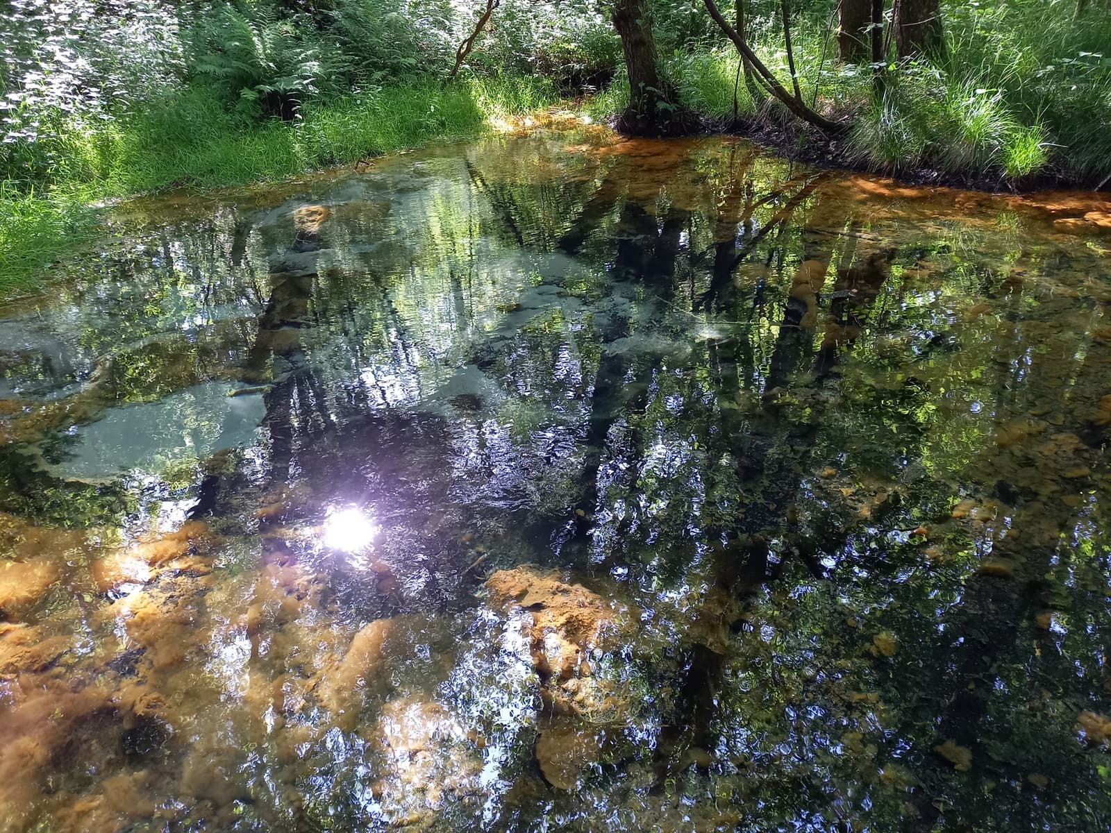Die Schwindequellw im Luhetal. Die Sonne und die Bäume spiegeln sich im klaren Wasser.