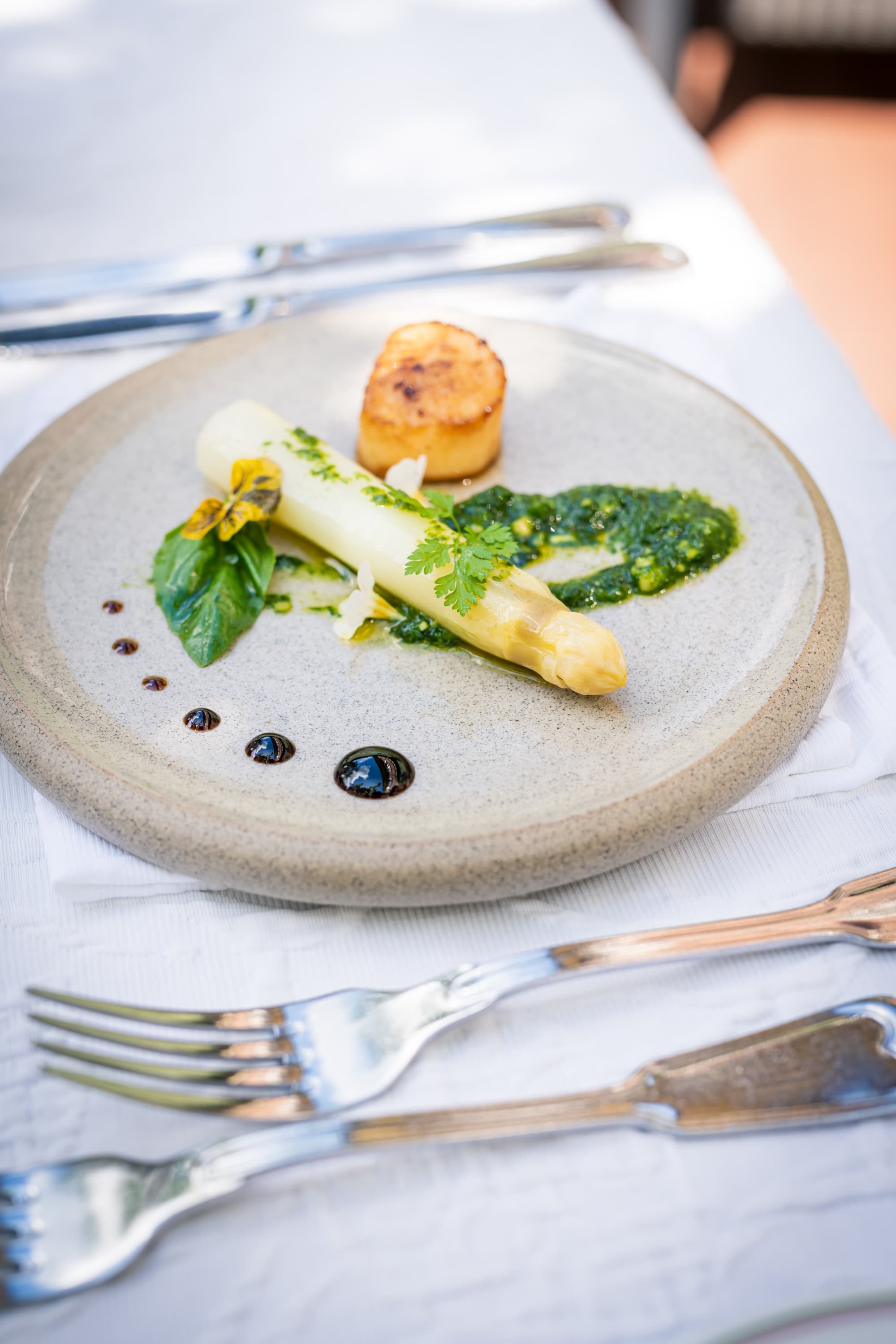 Eine Stange weißer Spargel und eine Jakobsmuschel mit Kräutersoße auf einem hellen Keramikteller.