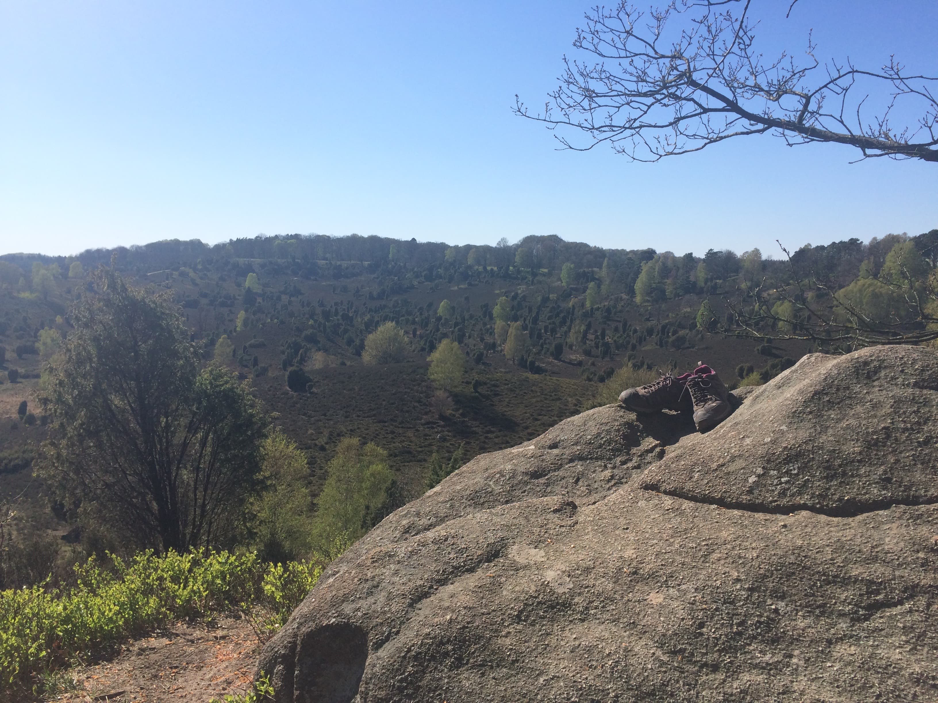 Weite Heidelandschaft im Totengrund. Im Vordergrund ein Fels mit abgestellten Wanderschuhen.
