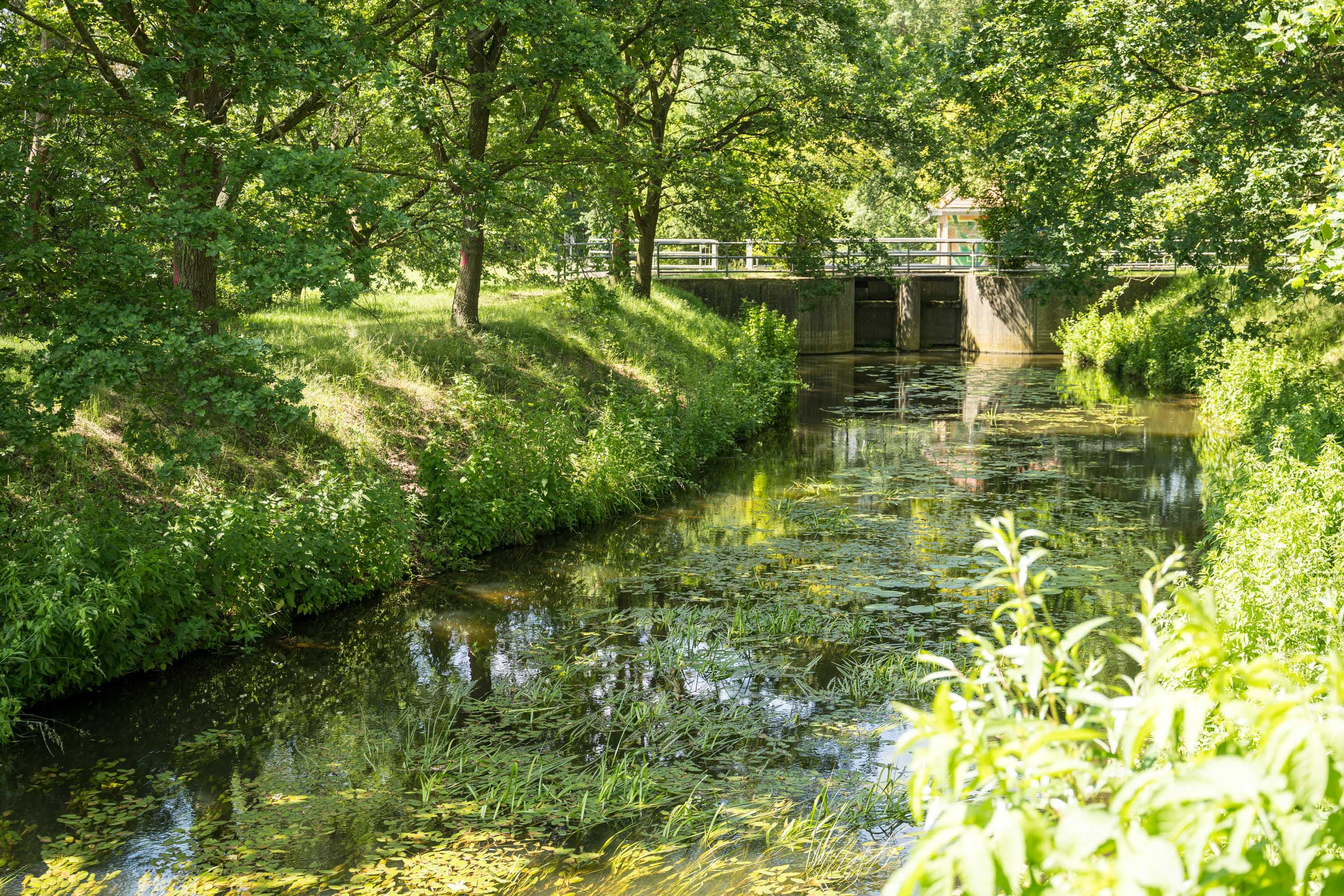 Alte Allerschleuse am grünen Flussufer, umgeben von Bäumen und Wasserpflanzen