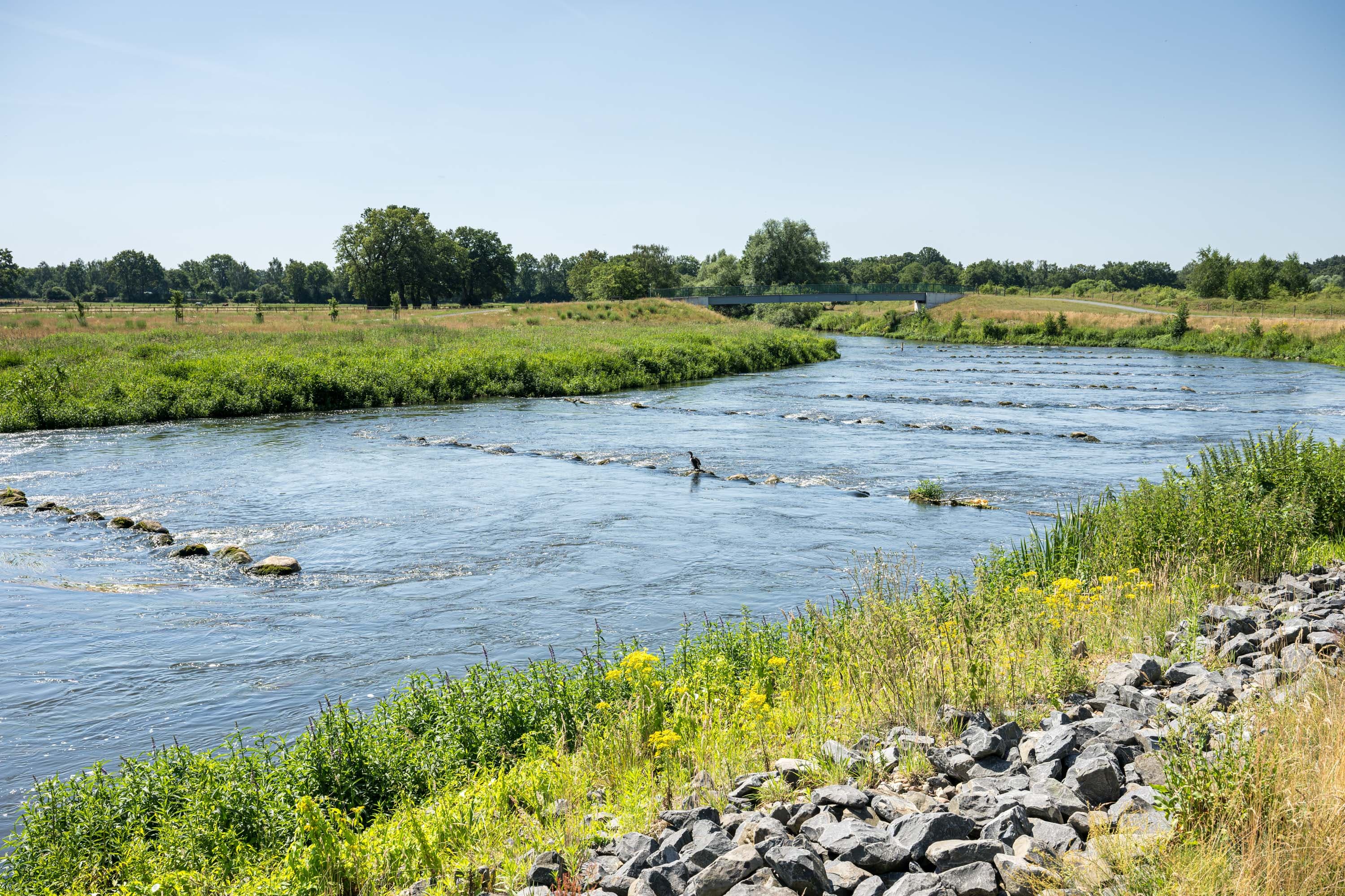 Flache Stromschnellen der Aller mit grünen Ufern und Brücke bei Osterloh