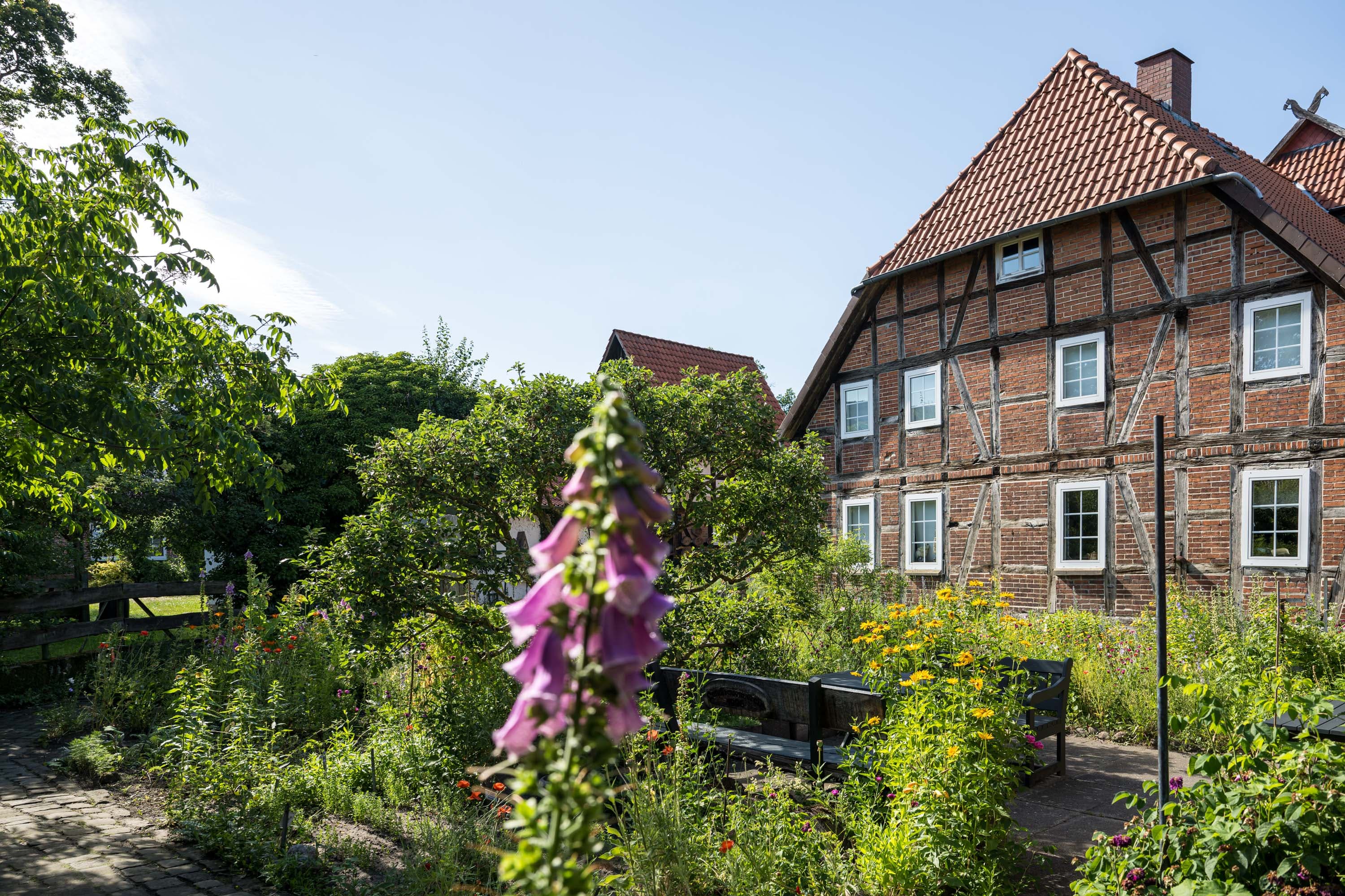 Kräutergarten vor historischem Fachwerkhaus im Dorfmuseum Langlingen
