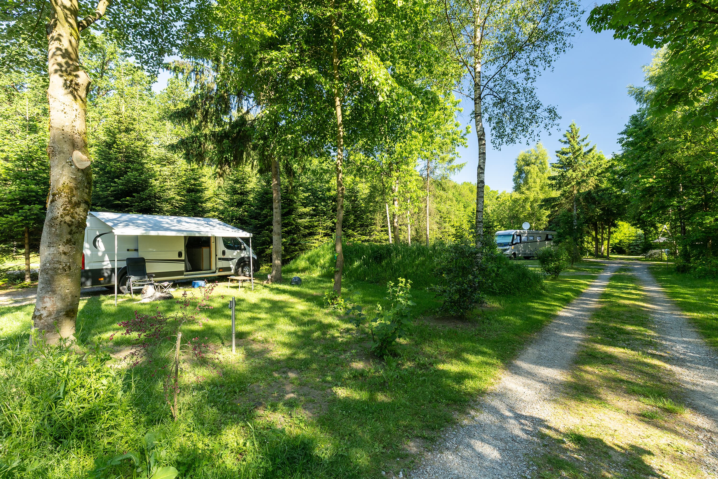 Wohnmobilstellplatz Zum Becklinger Holz - Mitten im Grünen