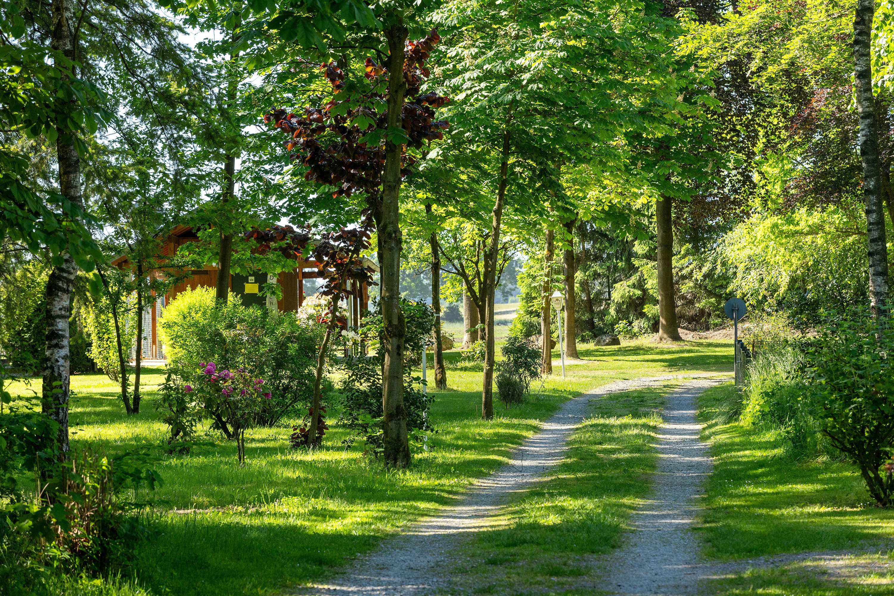Stellplatz-Auffahrt Zum Becklinger Holz