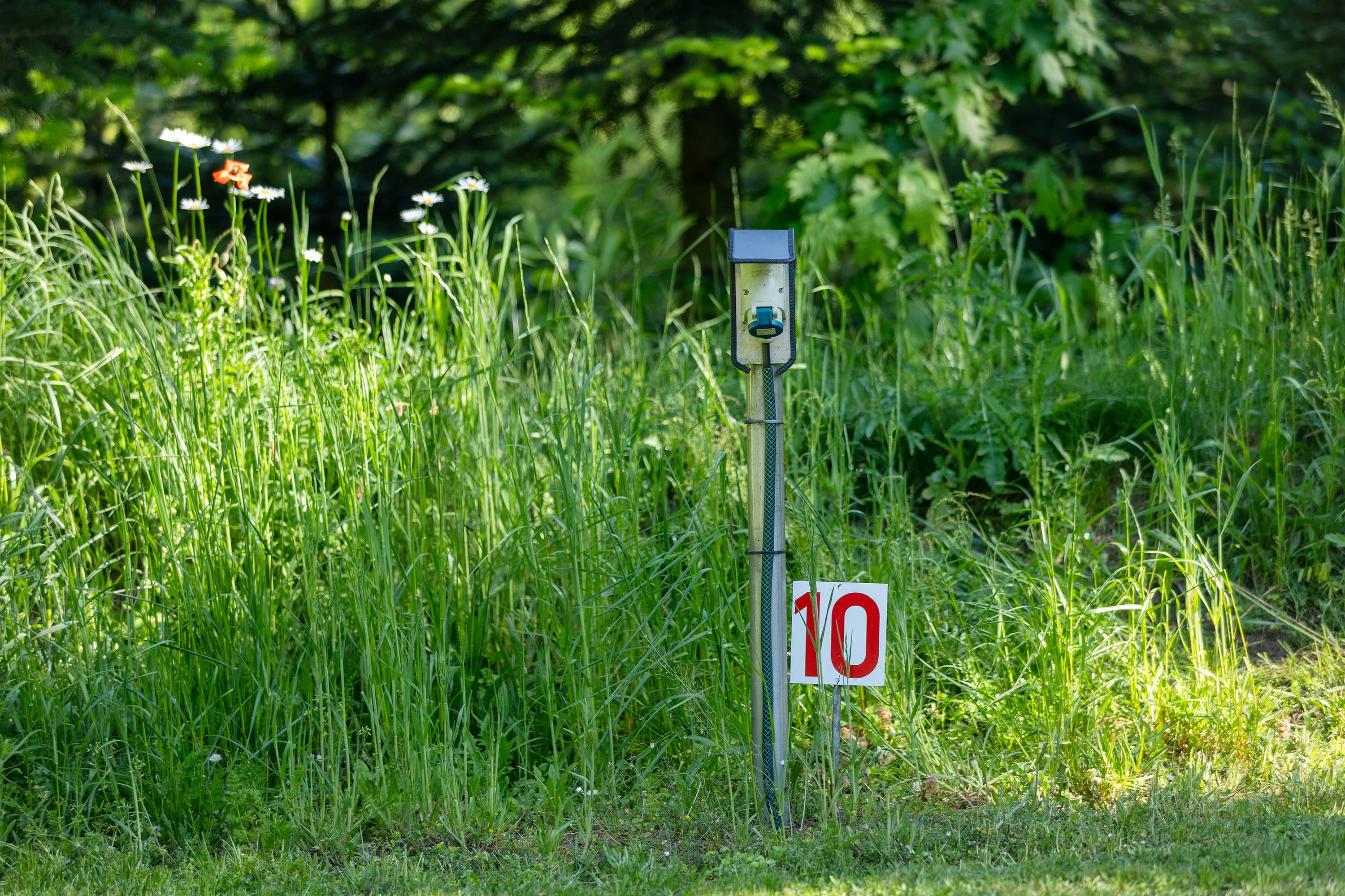 Stellplatz Nr. 10 mit Stromversorgung auf dem Wohnmobilstellplatz Zum Becklinger Holz