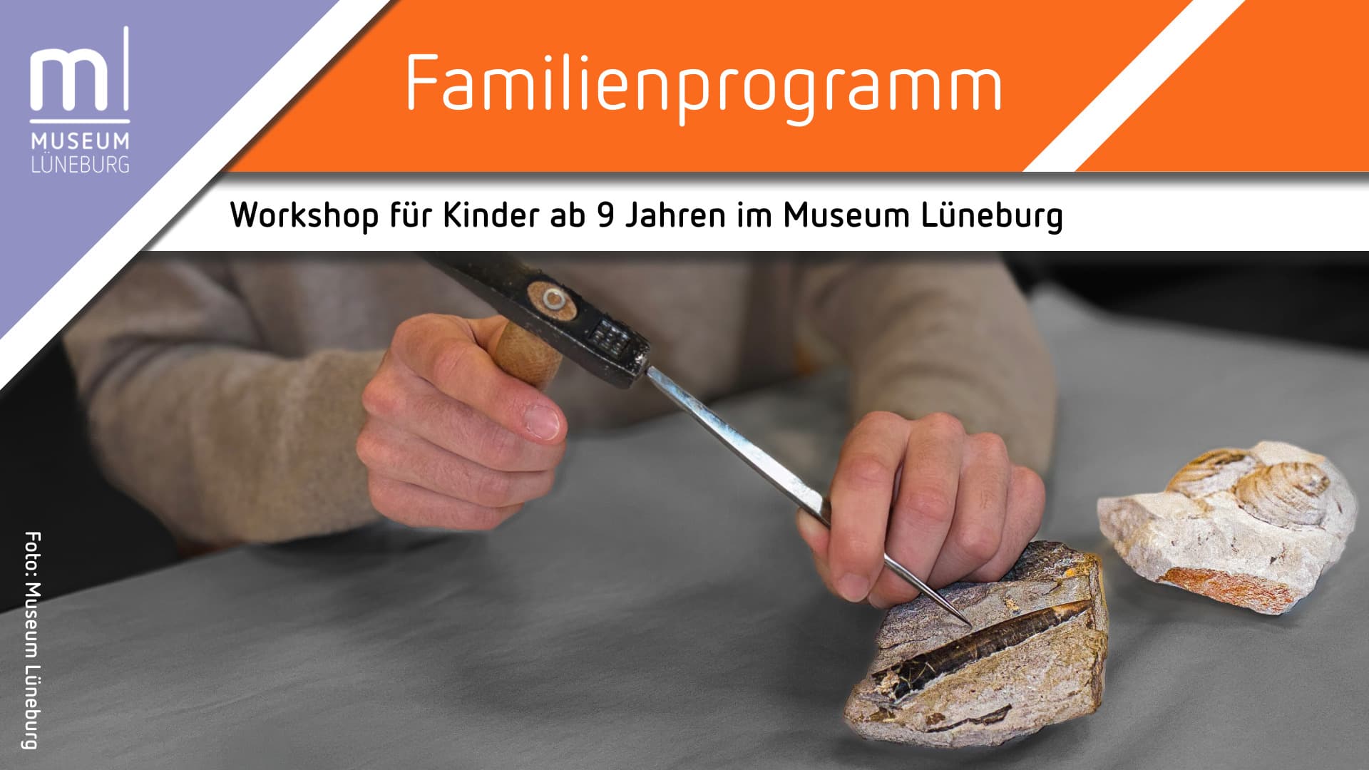 Hände präparieren mit Hammer und Meißel ein Fossil im Museum Lüneburg.