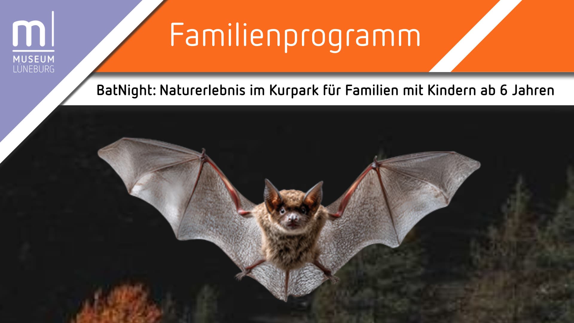 Fledermaus mit ausgebreiteten Flügeln zur Ankündigung der BatNight im Kurpark Lüneburg.