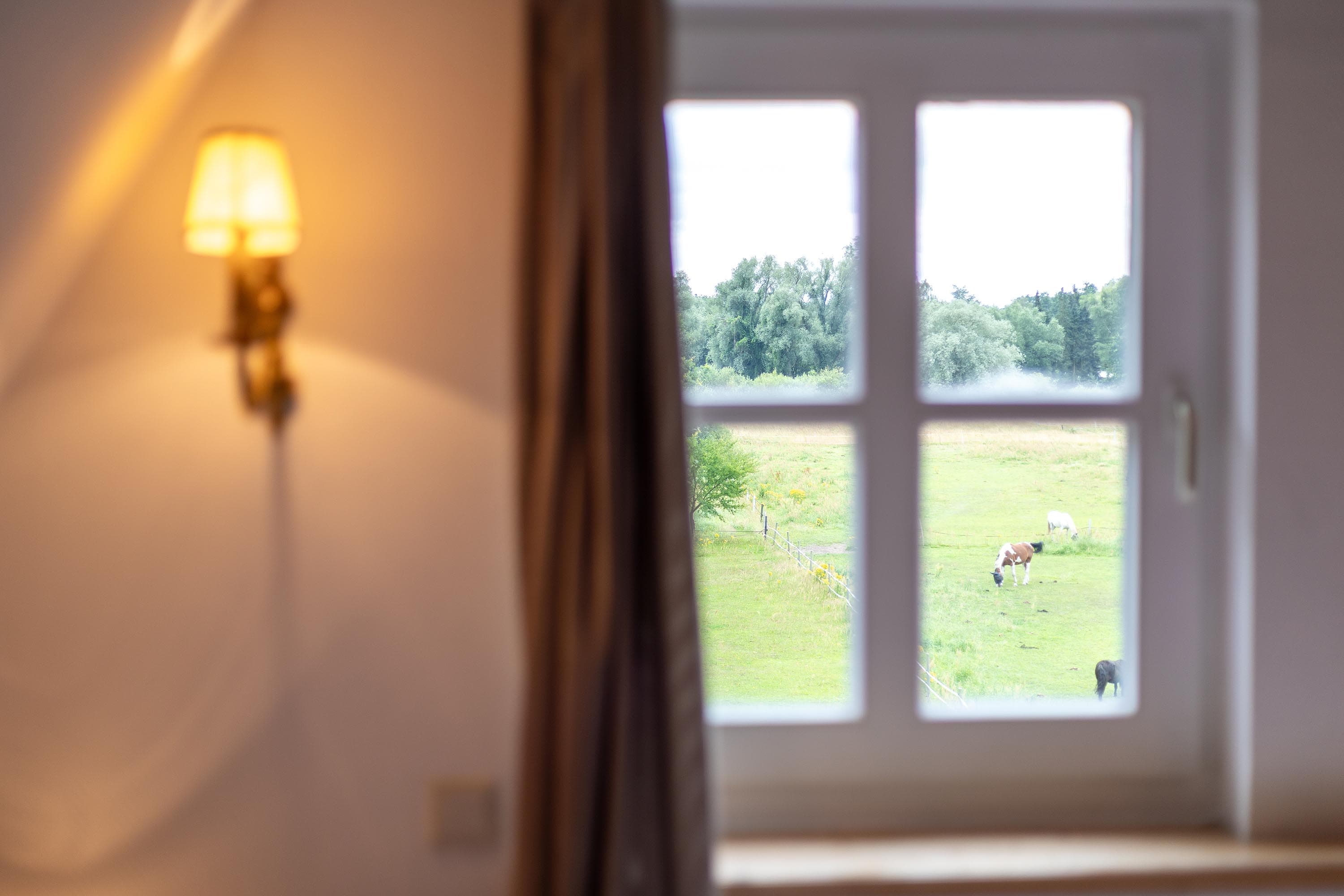 Landhotel Klosterhof Aussicht