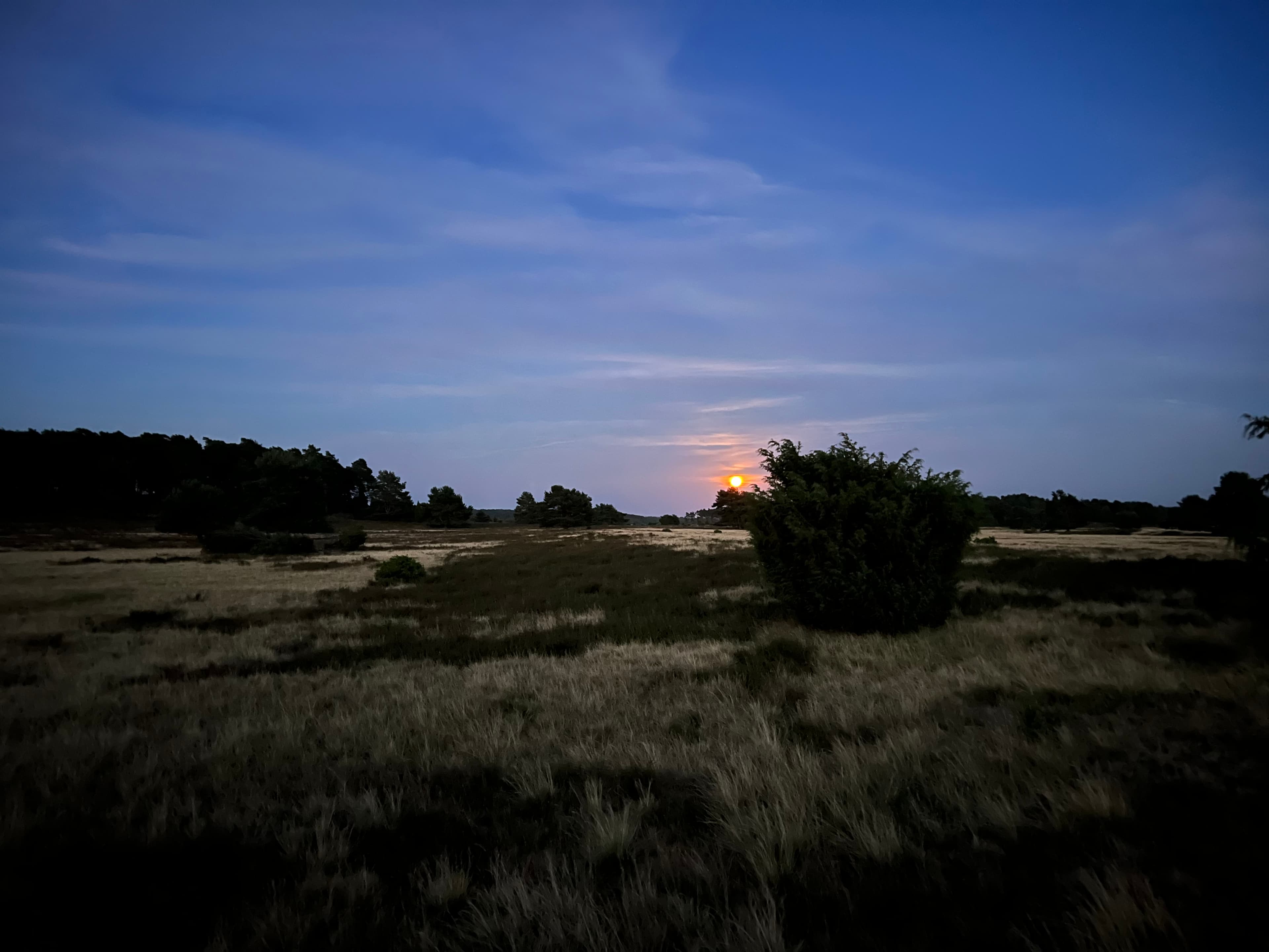 Orangefarbener Vollmond über weiter Heide mit Wacholderbüschen in der Dämmerung.