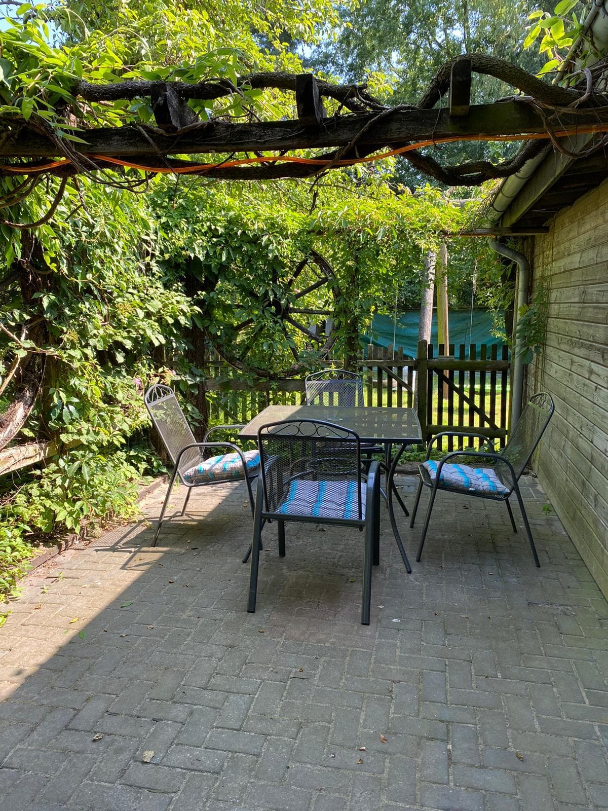 Begrünte Terrasse mit Tisch, Stühlen und Rankpflanzen am Ferienhof.