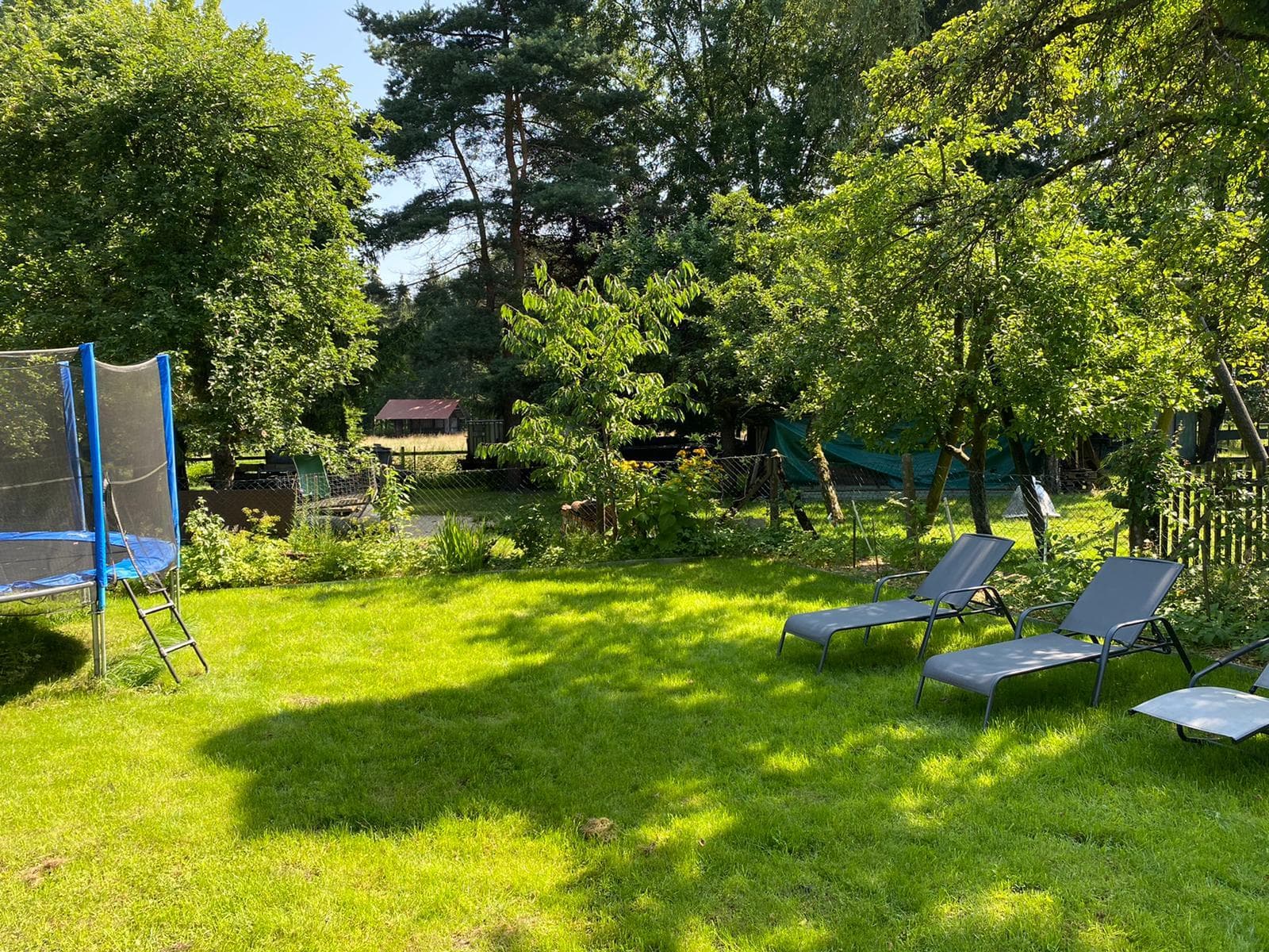 Grüner Garten mit Trampolin, Sonnenliegen und Bäumen auf dem Ferienhof.
