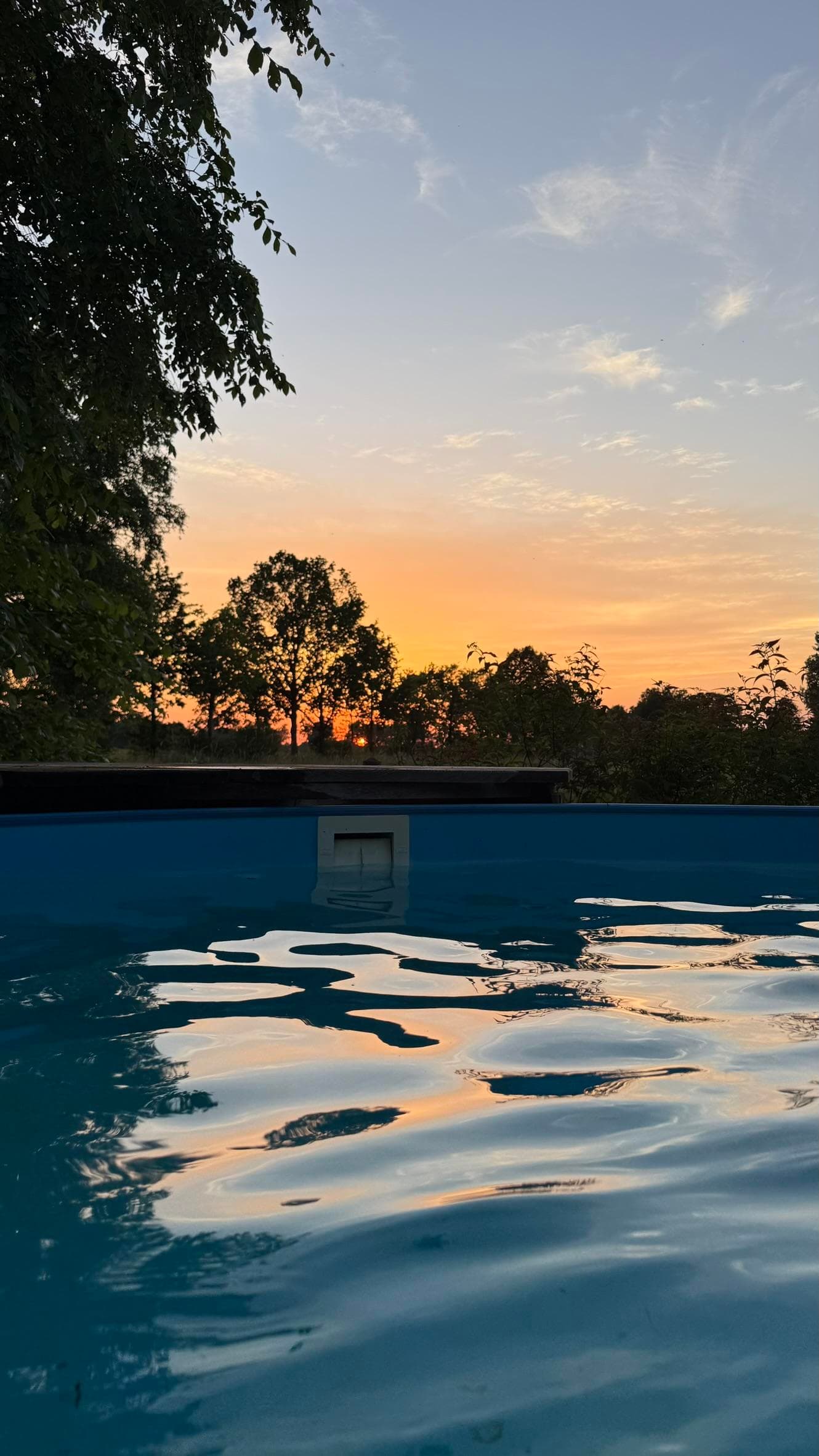 Poolwasser spiegelt den orangefarbenen Sonnenuntergang hinter Bäumen.