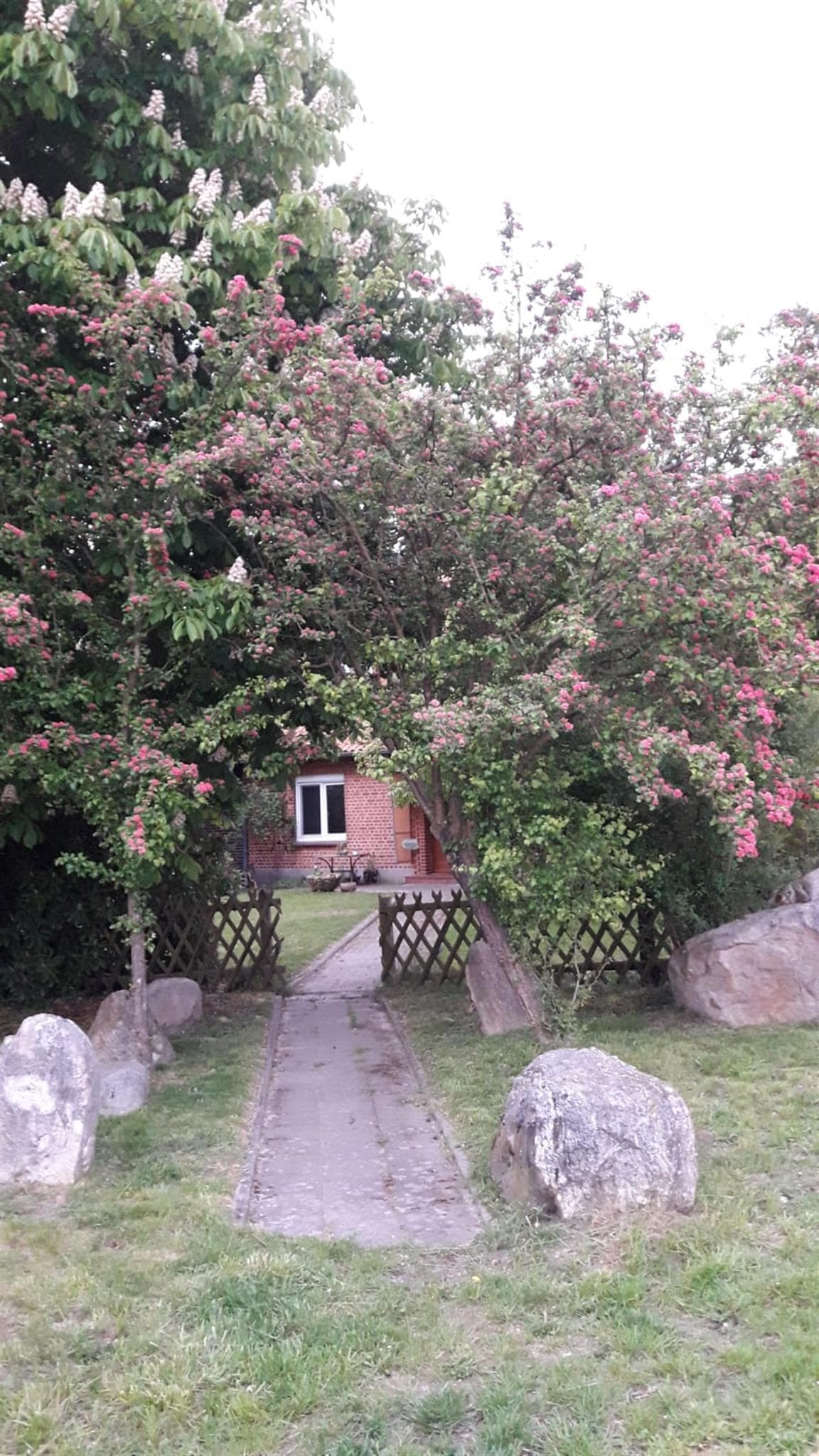 Blühende Bäume und ein Gartenweg führen zu einem roten Backsteinhaus.