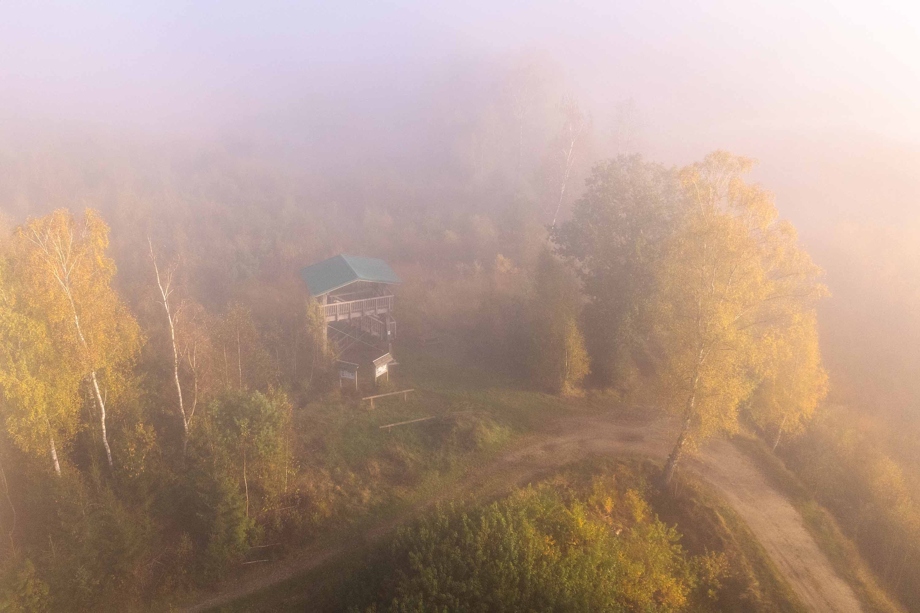 Aussichtsturm im herbstlichen Becklinger Moor, von Nebel und goldenen Birken umgeben.