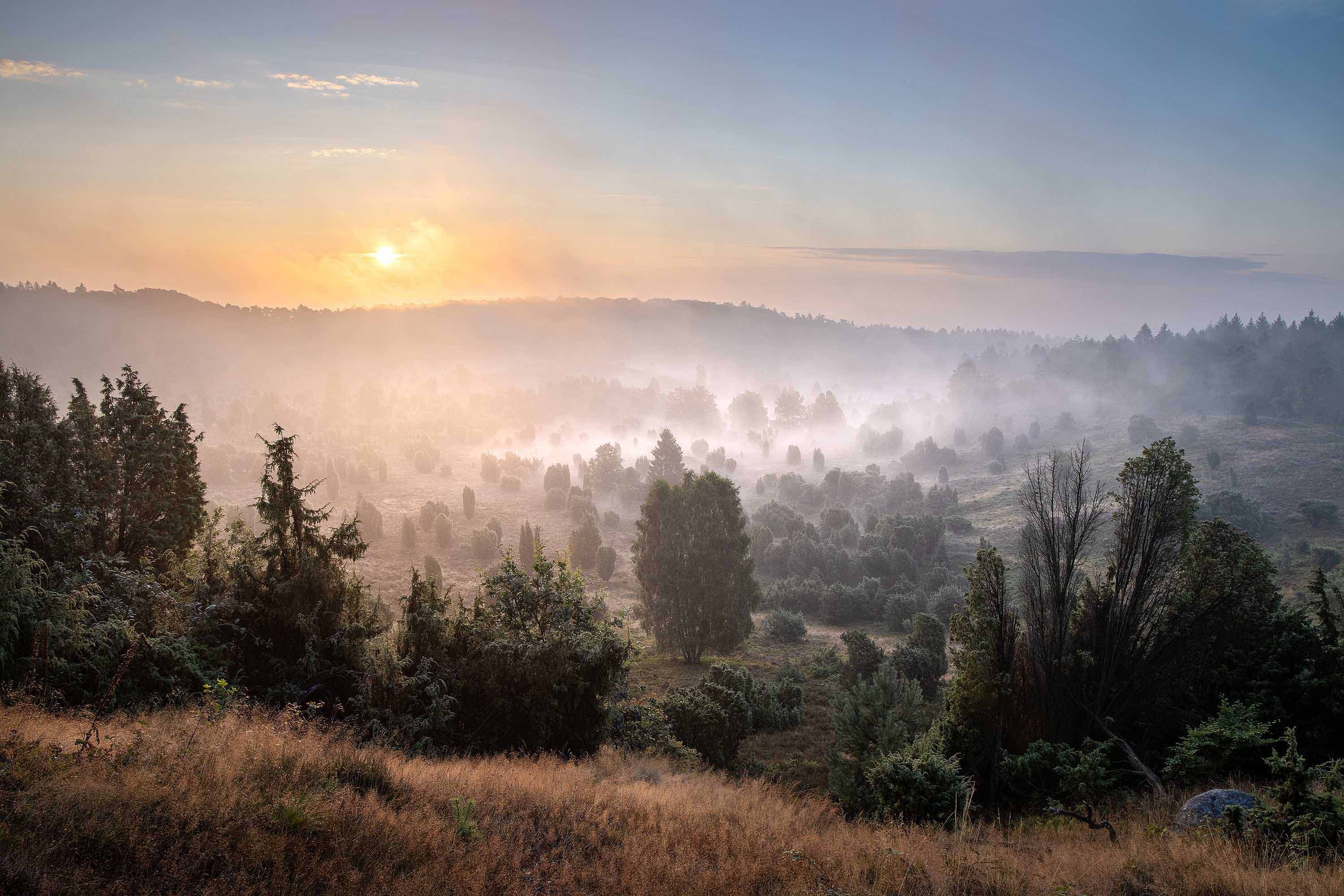 Sonnenaufgang über dem nebelverhangenen Totengrund in der Lüneburger Heide.