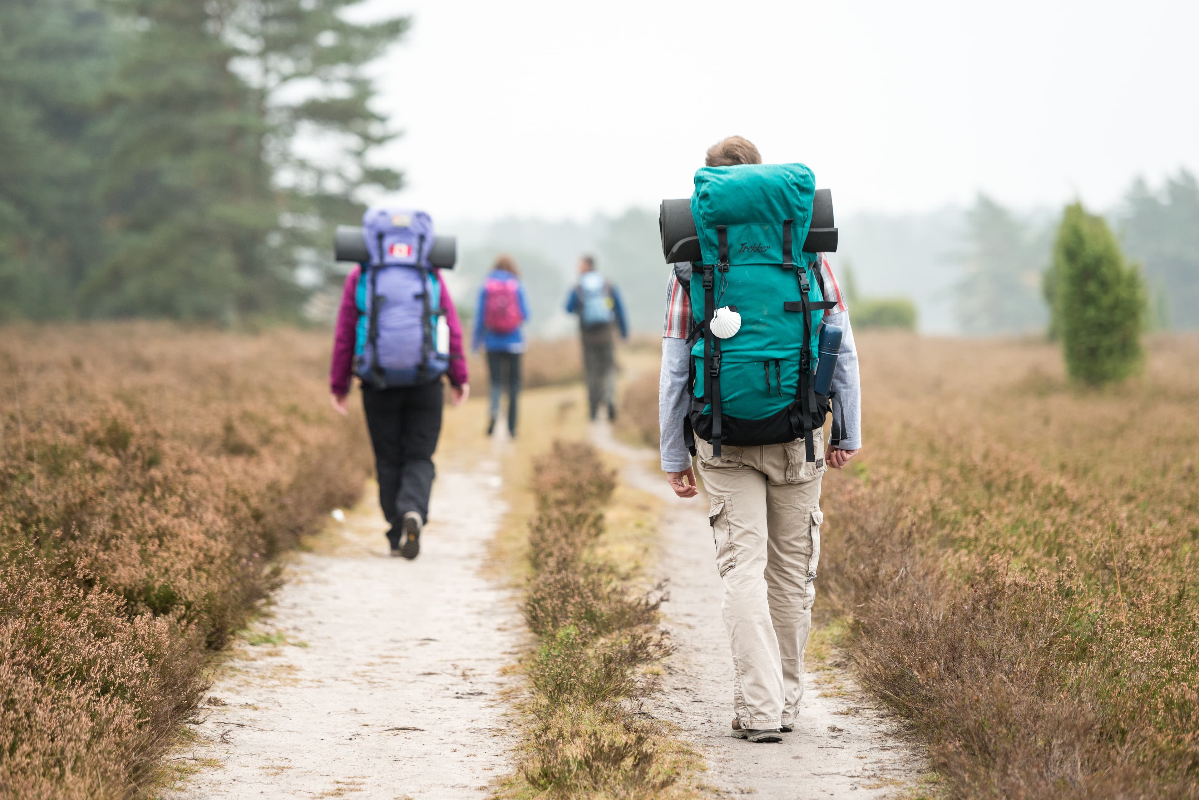 Pilgerwege in Deutschland, wie der Jacobusweg Lüneburger Heide