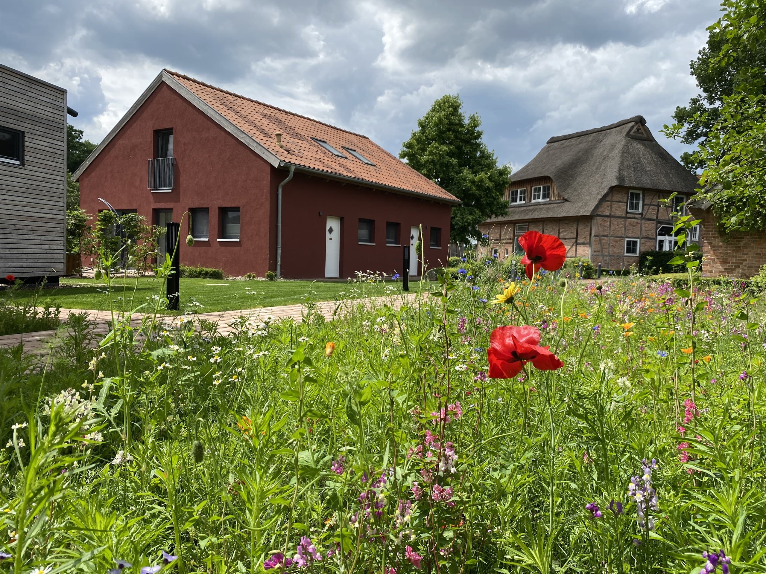 Blühende Wildblumenwiese mit Mohn vor dem roten Apartmenthaus und dem reetgedeckten Fachwerkhaus des HofGut Bockelkathen