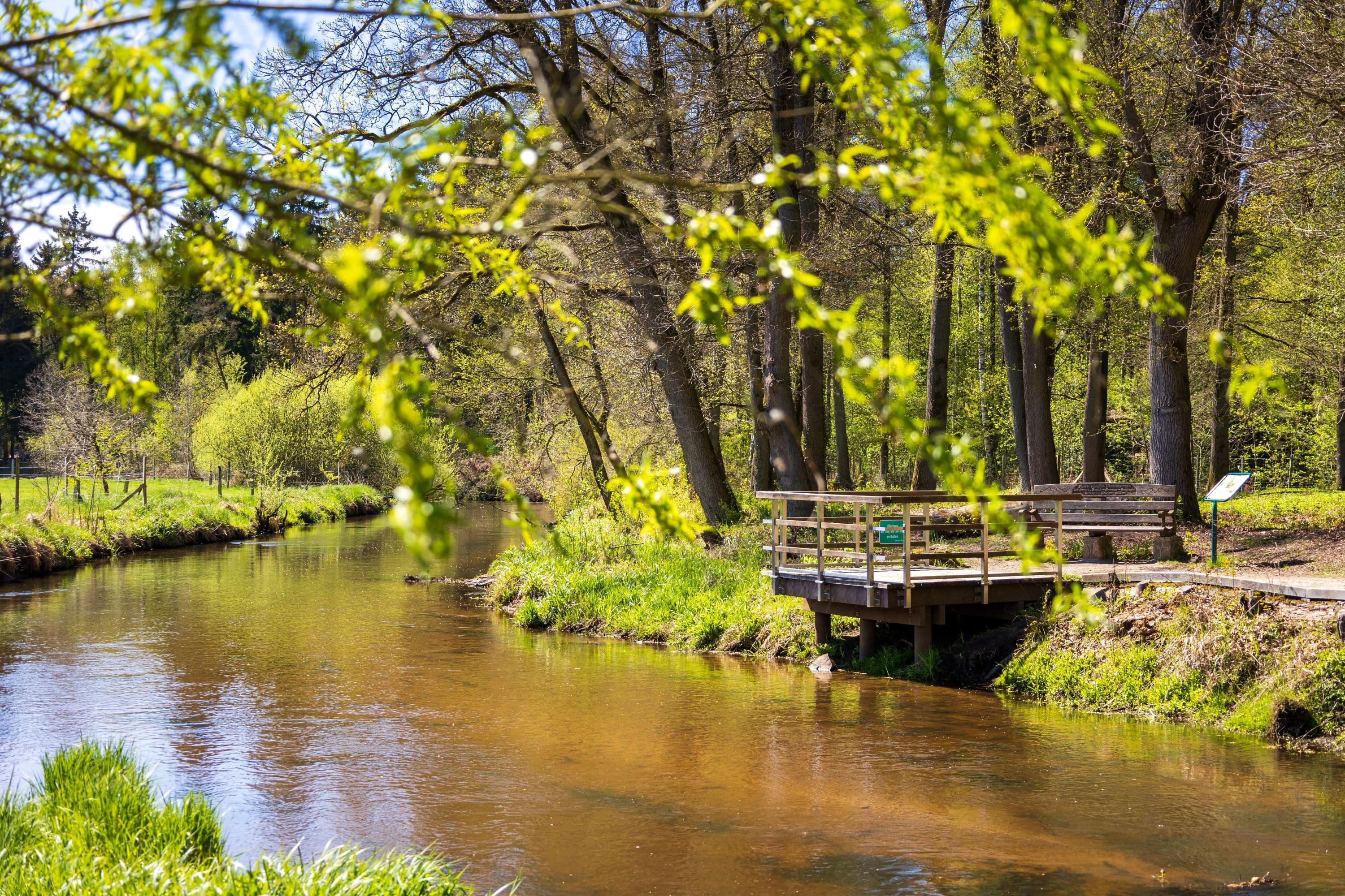 Ausblick am Zusammenfluss von Wietze und Örtze im Frühling