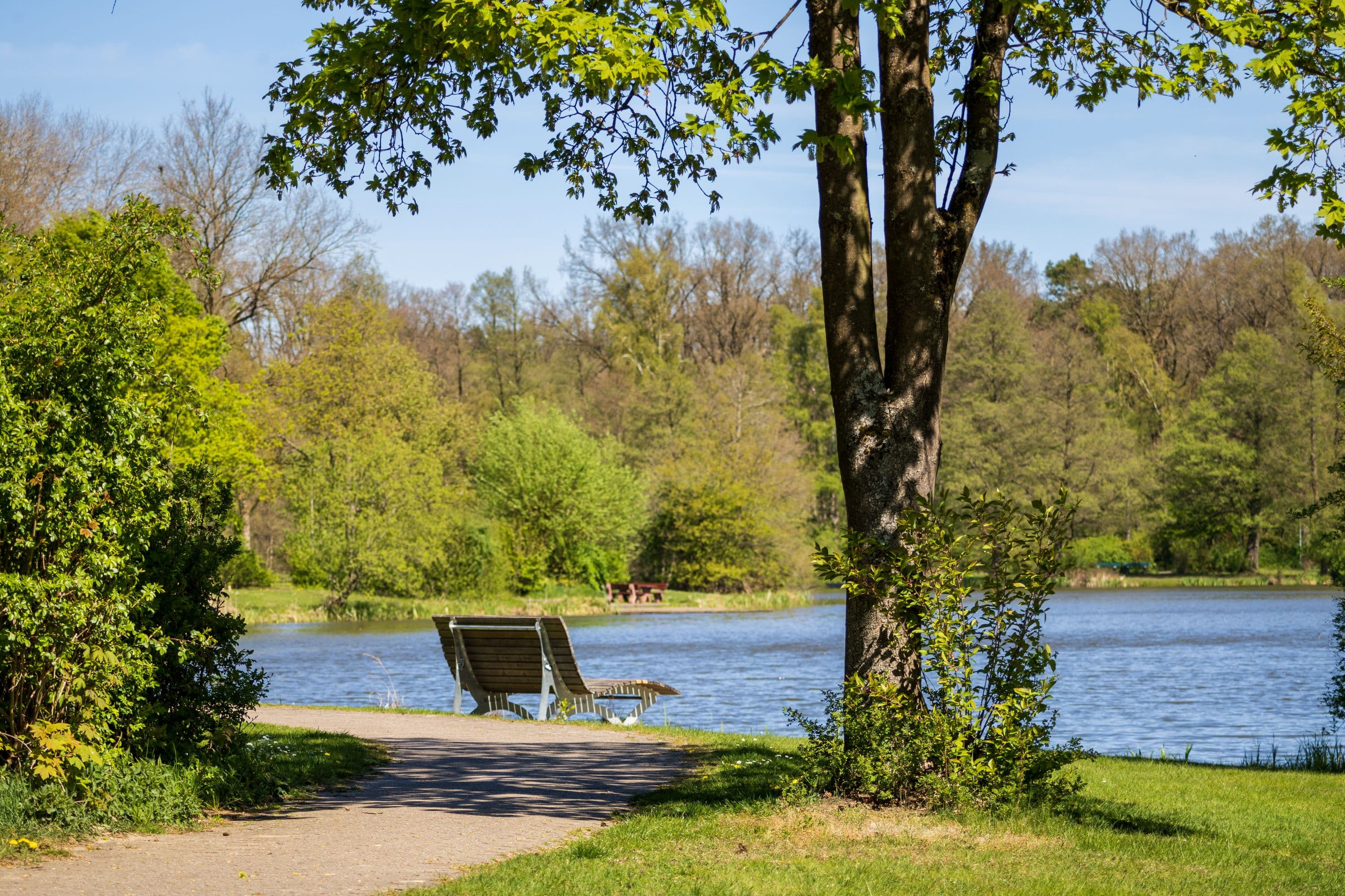 Bank am Heidesee in Müden (Örtze)