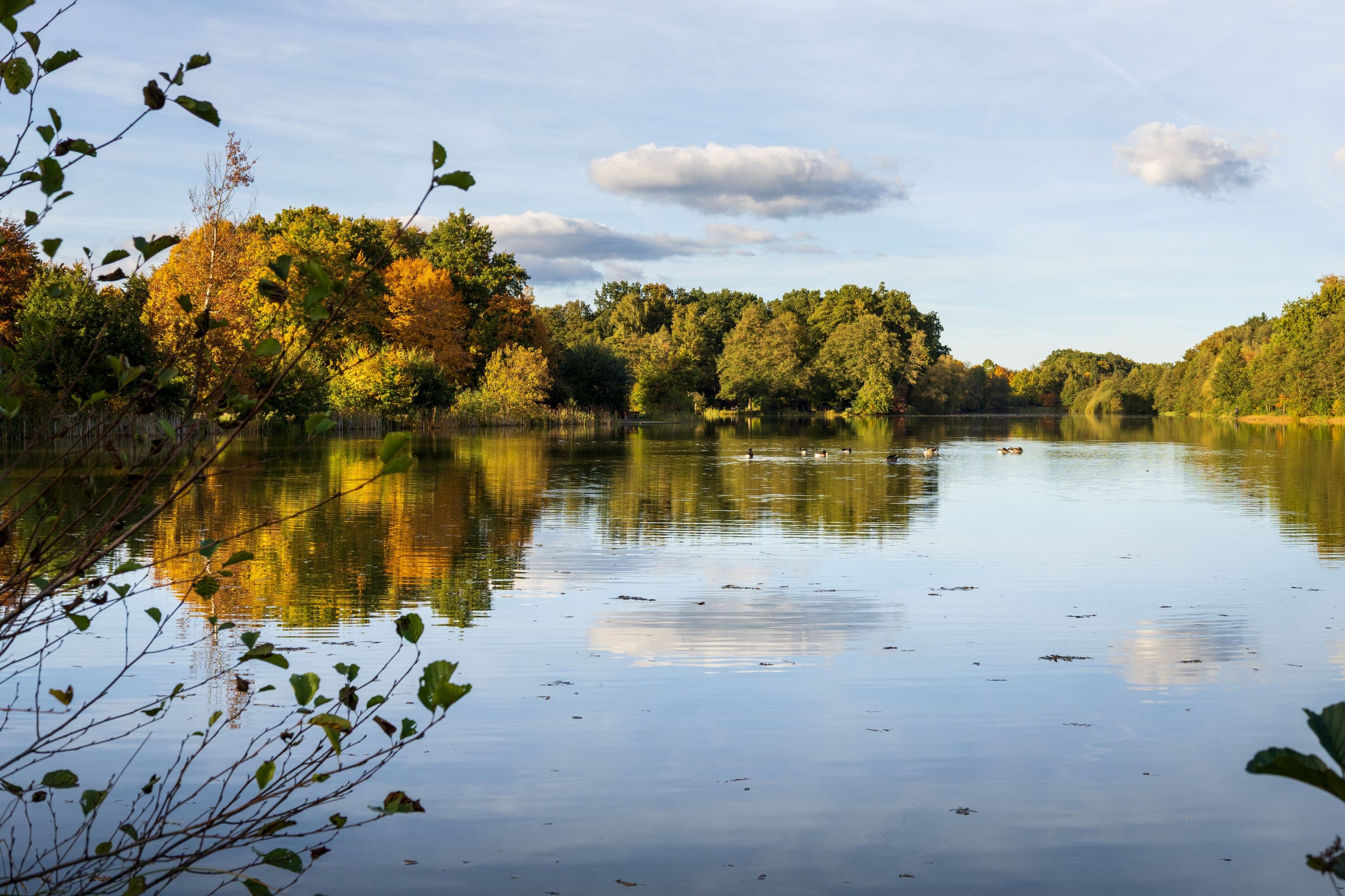 Heidesee in Müden (Örtze) im Herbst