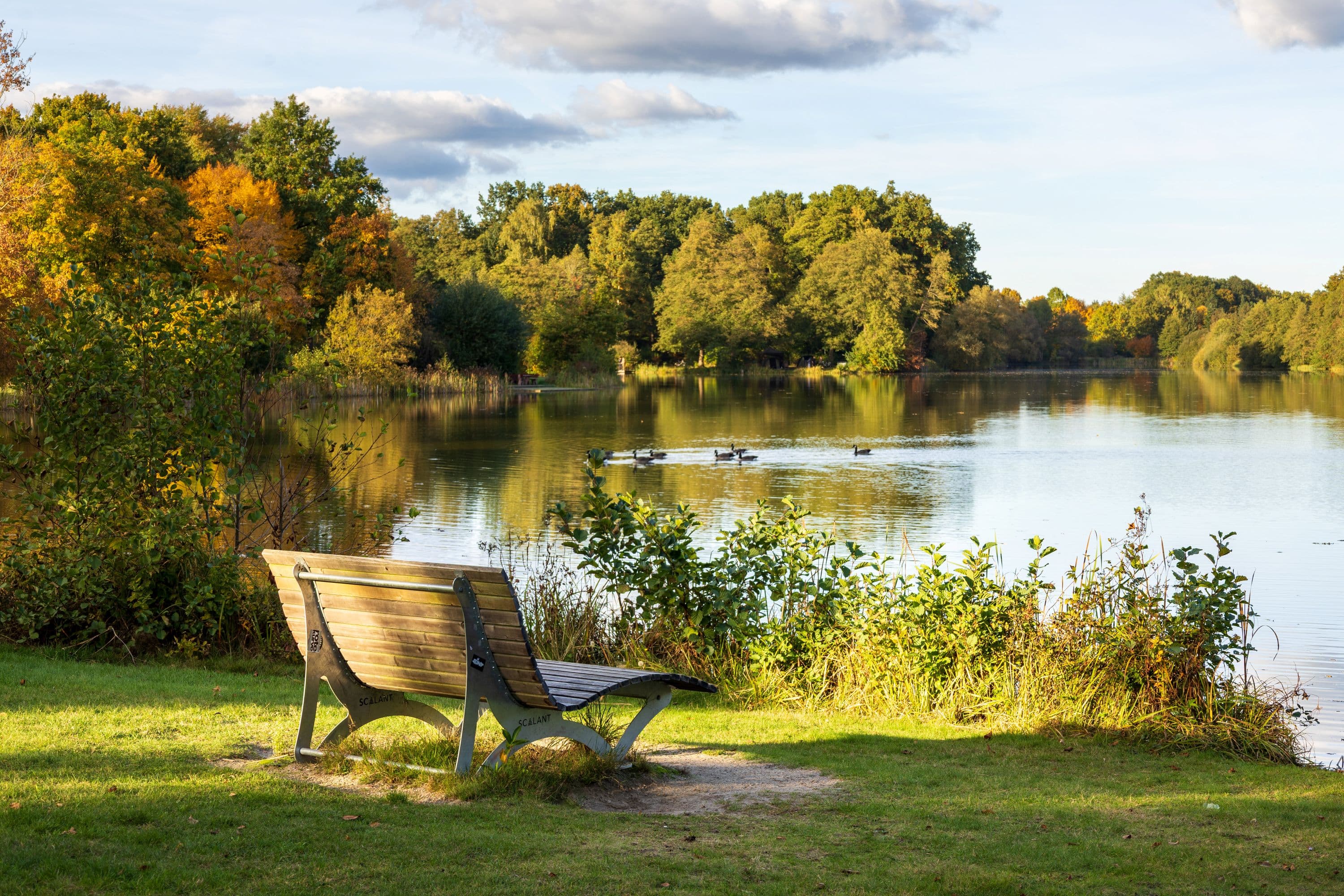 Herbststimmung am Heidesee in Müden (Örtze)