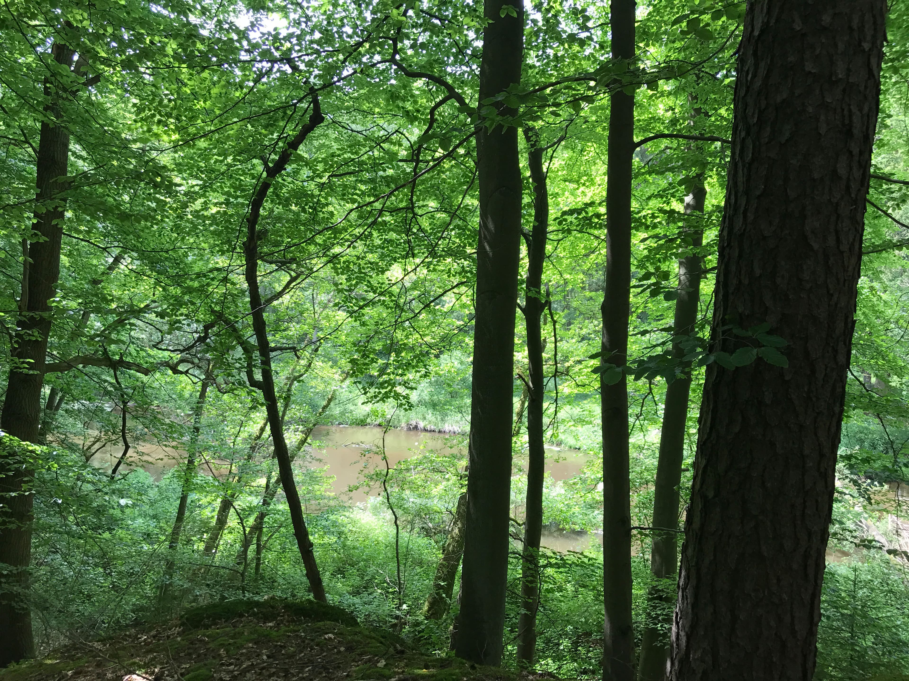 Sängershöh Bad Bevensen