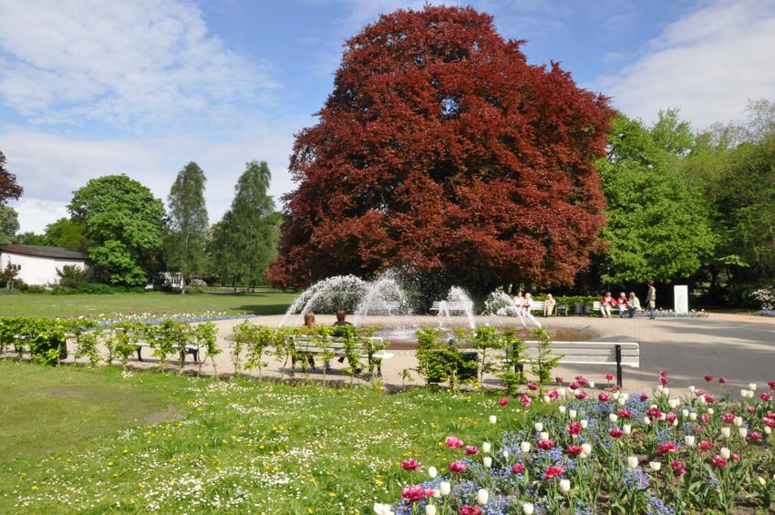 Springbrunnen im Kurpark Lüneburg
