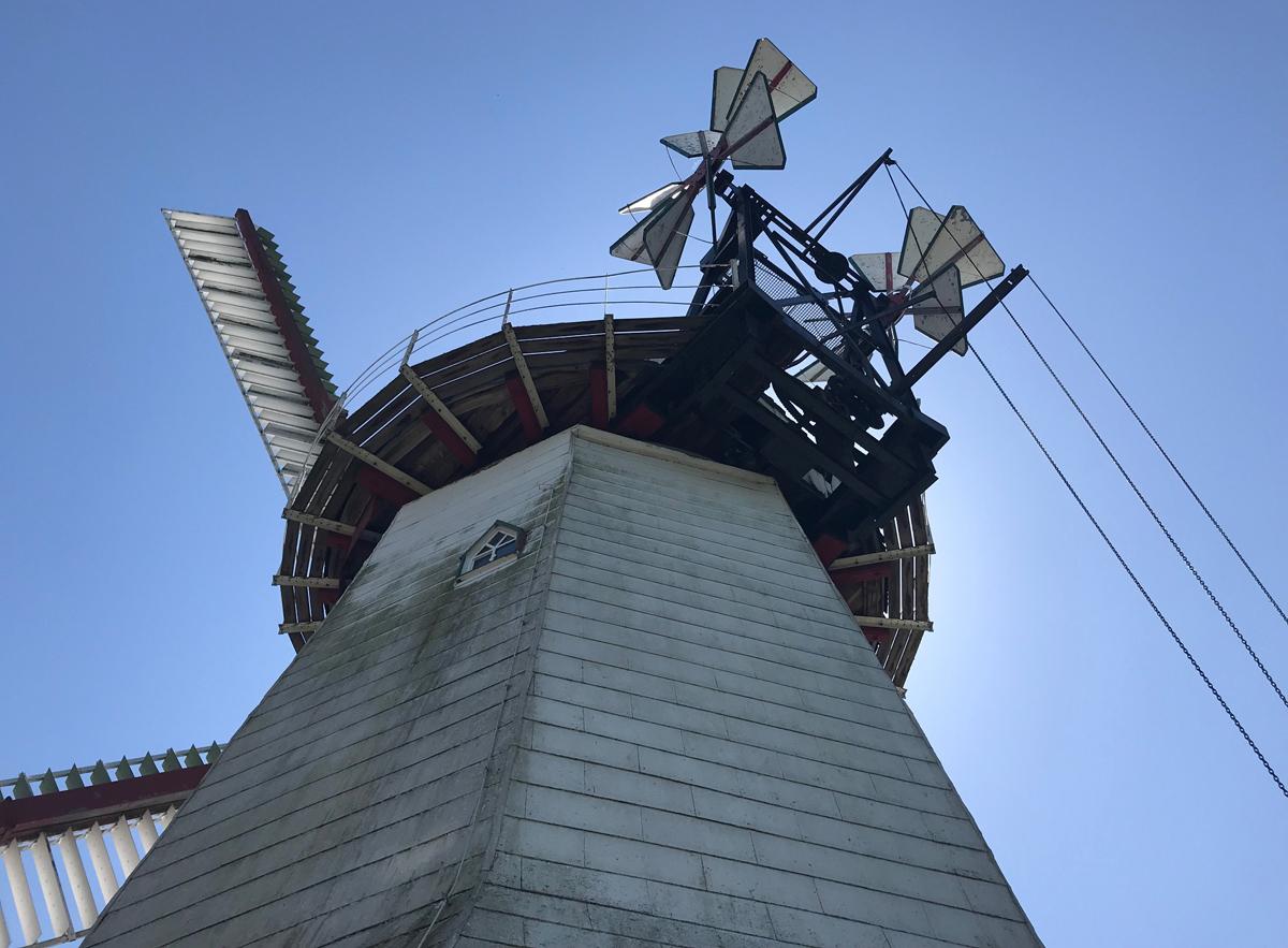 Windmühle-Erdholländer in Eyendorf