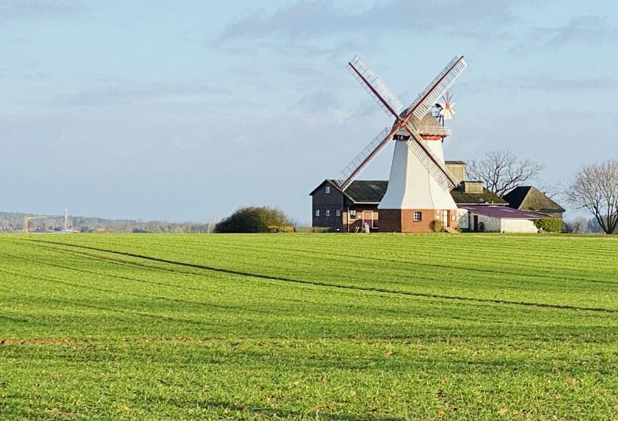 Die Erd-Holländerwindmühle im Heidedorf Eyendorf wurde 1897 erbaut. Die Museumsmühle kann besichtig werden und dient außerdem als Hochzeits-Location.