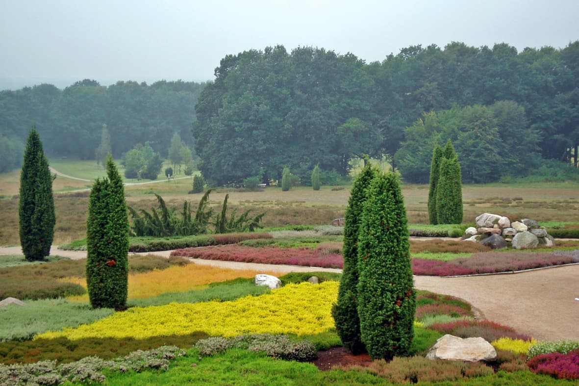 Schneverdingen: Höpen Conservation Area and Heather Garden