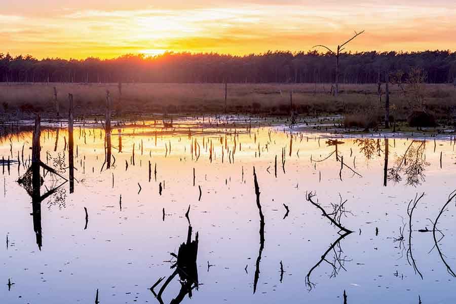 Farbenspektakel beim Sonnenuntergang im Pietzmoor