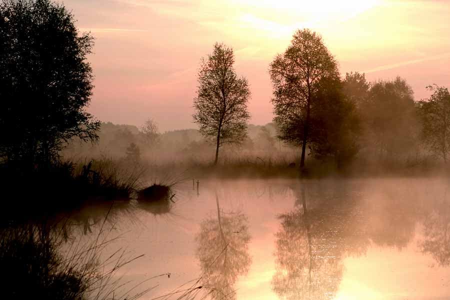 Nebel beim Sonnenaufgang im Pietzmoor Schneverdingen