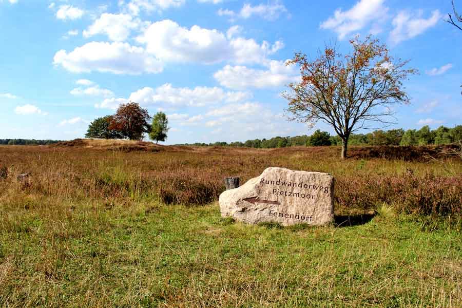 Der Rundwanderweg Pietzmoor startet am Parkplatz
