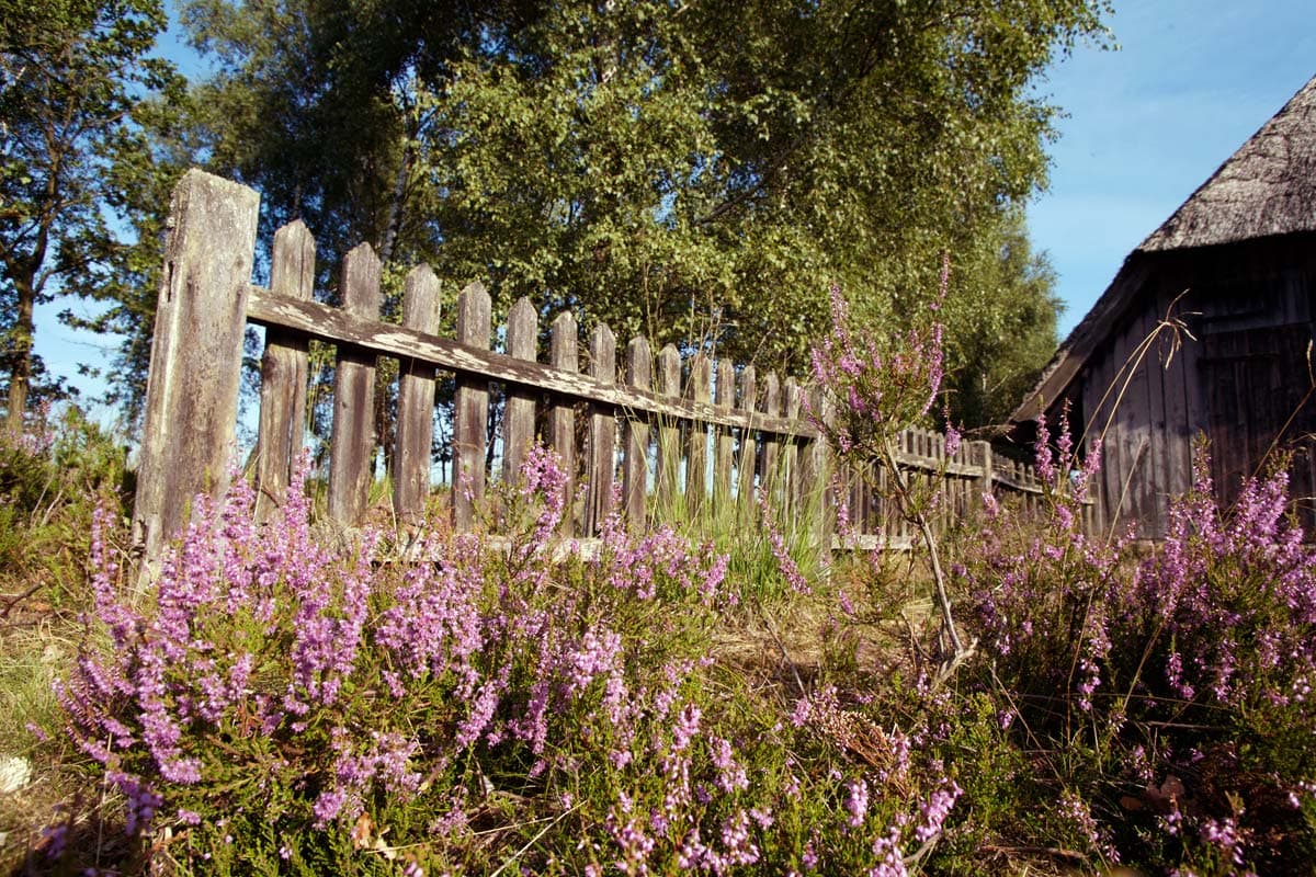 Naturpark Lüneburger Heide