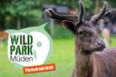 Wildpark Müden - Tierisch nah dran!