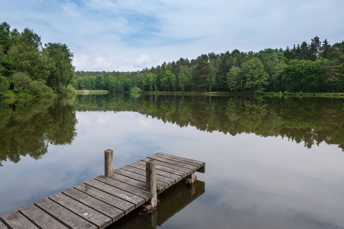 Steg am Hardausee in Hösseringen